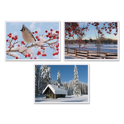 Winter Multi-Pack Placemats, 10 x 14, Three Different Scenes, 1,000/Carton Flipcost Flipcost