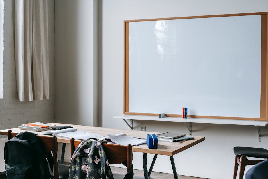 Back-to-School Essentials: Best 2nd Grade School Supply Packs