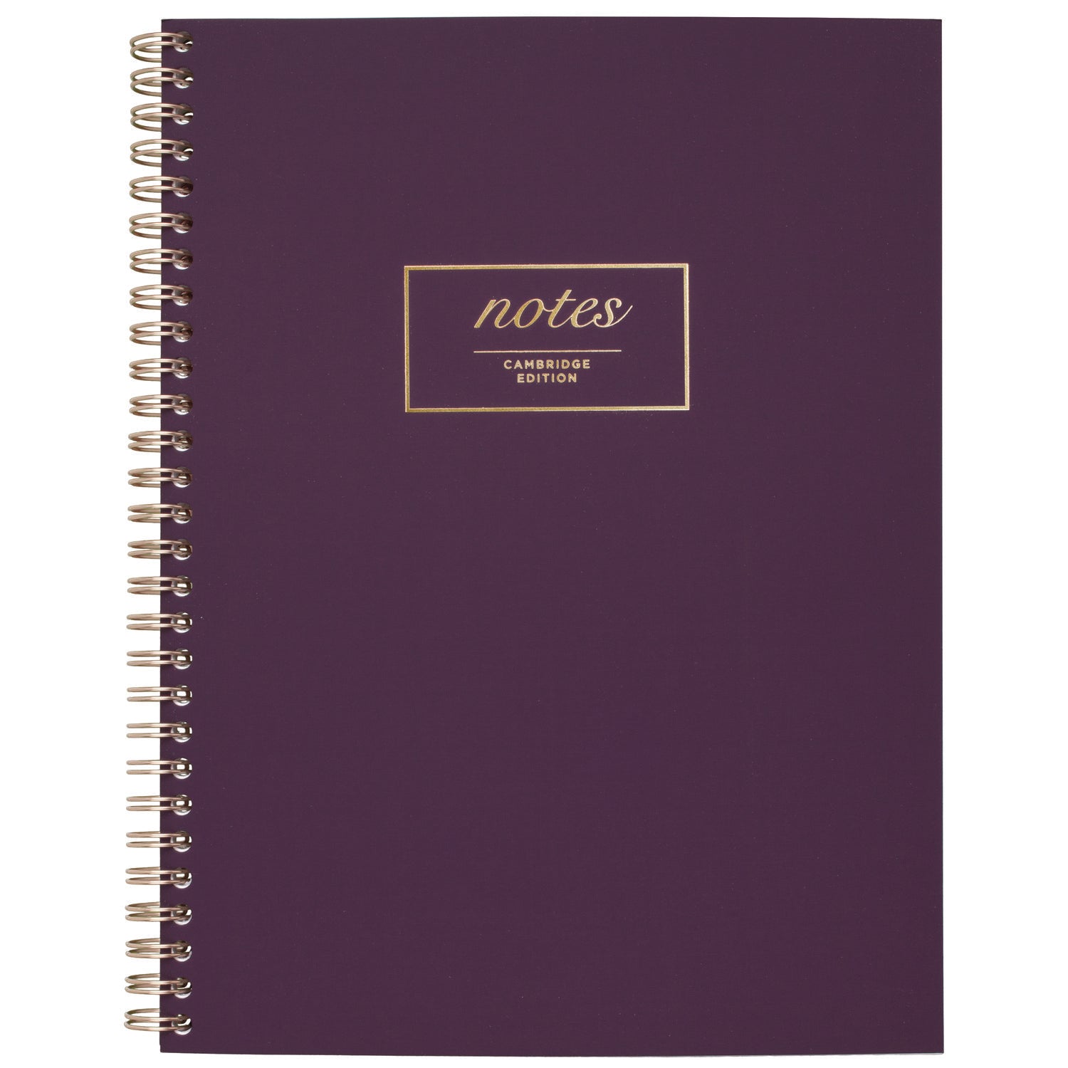 Jewel Tone Notebook, Gold Twin-Wire, 1-Subject, Wide/Legal Rule, Purple Cover, (80) 9.5 x 7.25 Sheets