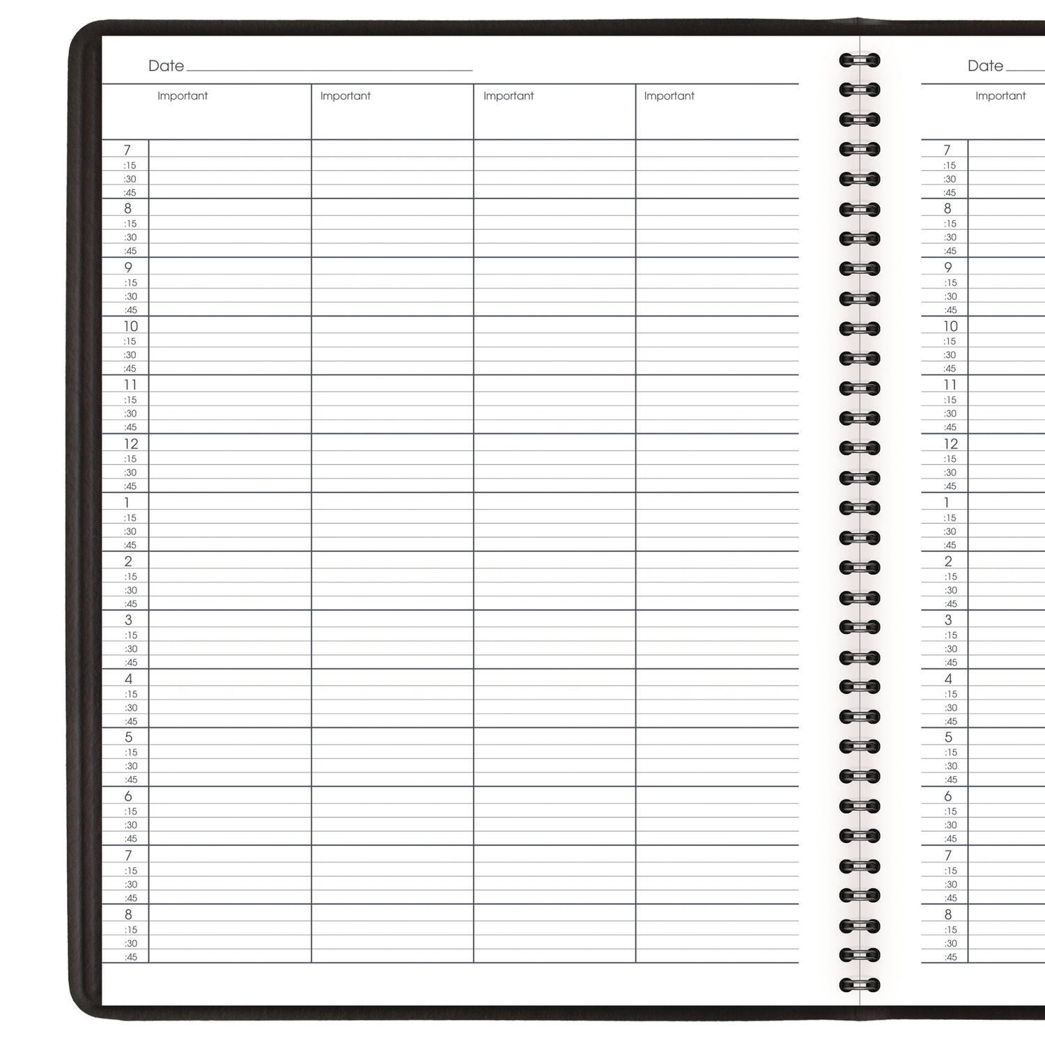 AT-A-GLANCE® Four-Person Group Undated Daily Appointment Book, 10.88 x 8.5, Black Cover, 12-Month (Jan to Dec): Undated