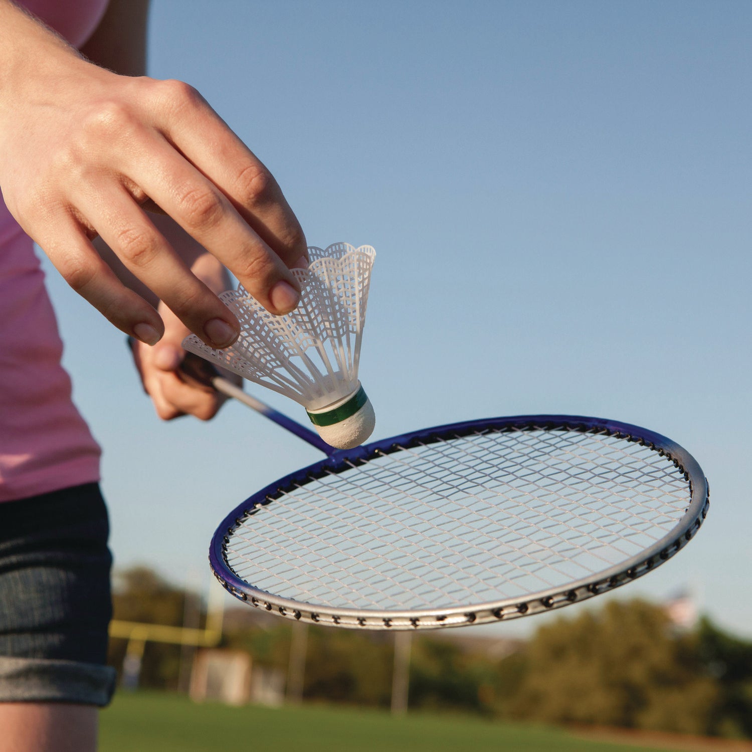 Deluxe Badminton Set, 20 ft Net with 4 Rackets, 2 Shuttlecocks Champion Sports Flipcost