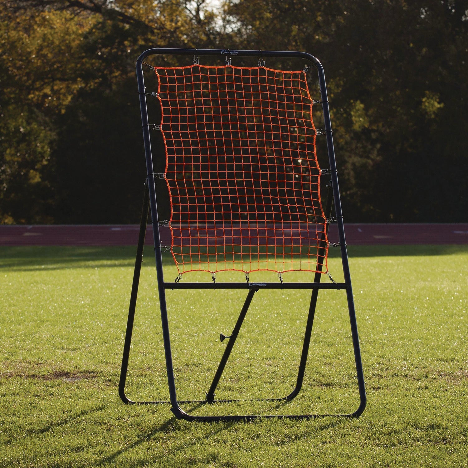 Lacrosse Ball Rebounder, 80" x 3 ft, 1.25" dia Frame Champion Sports Flipcost