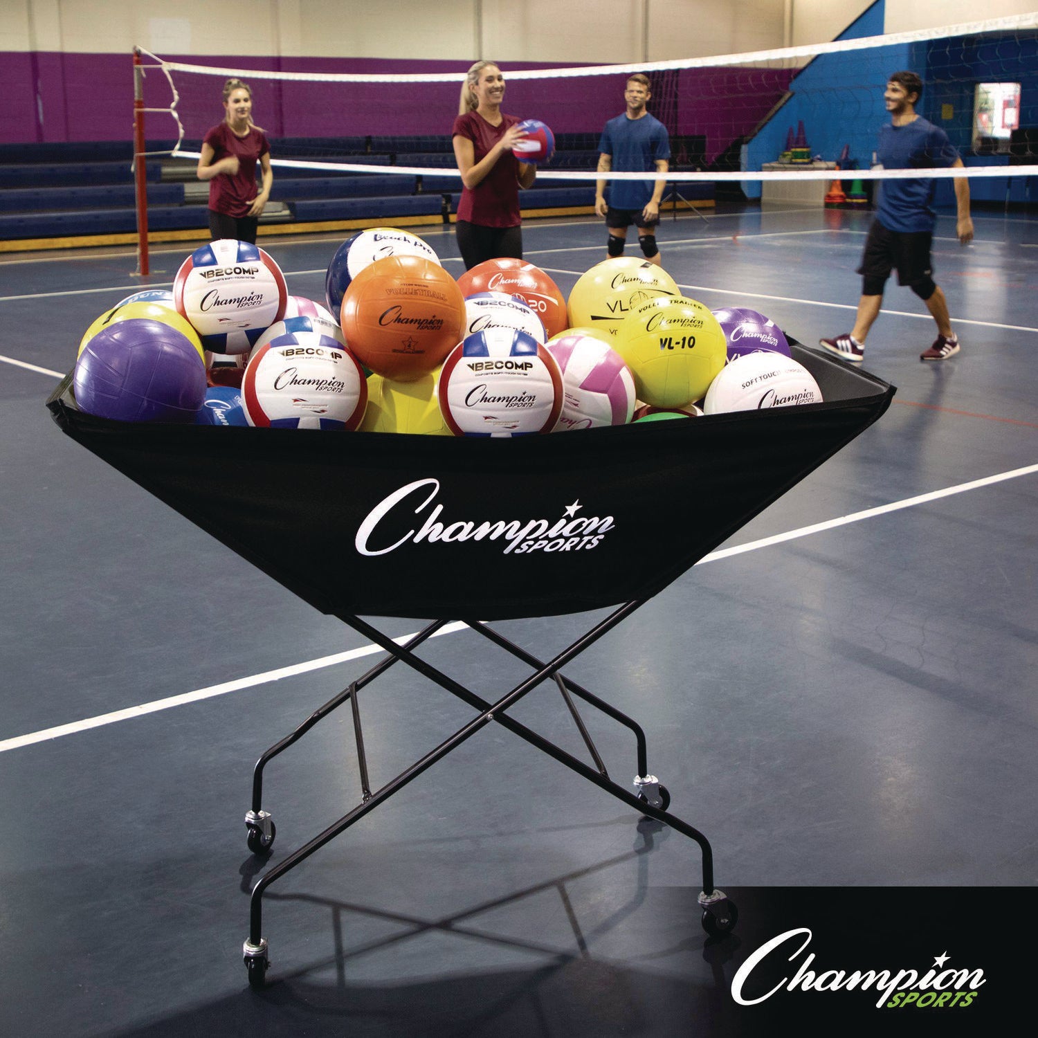 Pro Collapsible Volleyball Cart, 23" x 55" x 41", Black Champion Sports Flipcost