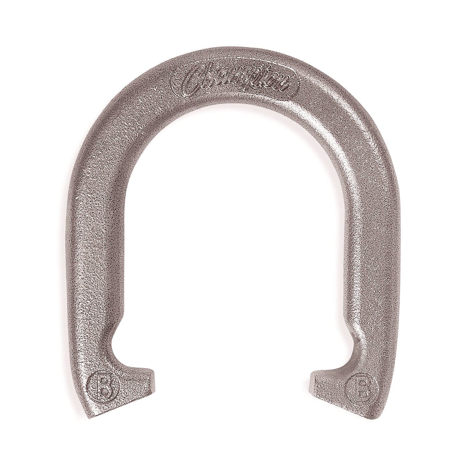 Steel Horseshoe Set, (4) Horseshoes/(2) 20" Stakes/Nylon Carry Bag Champion Sports Flipcost