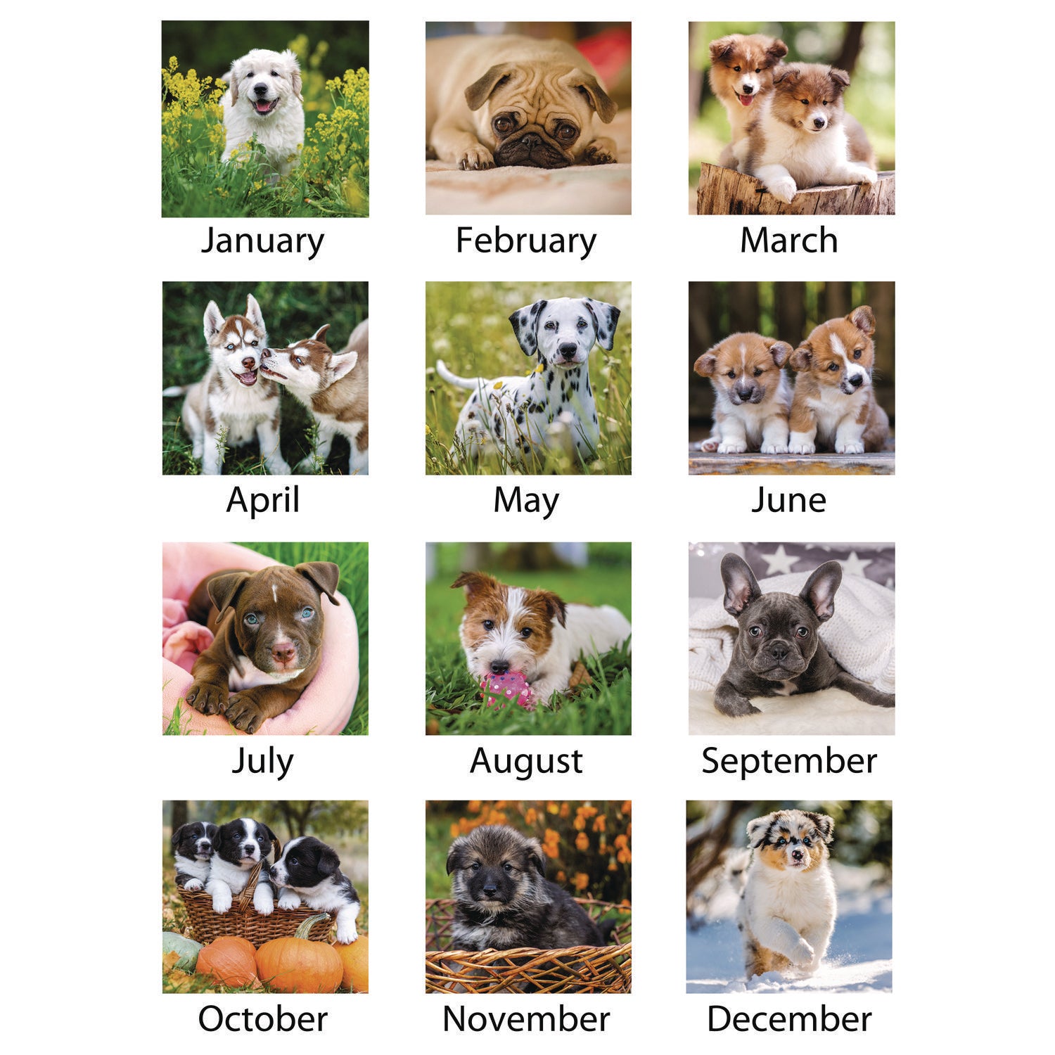 AT-A-GLANCE® Puppies Monthly Desk Pad Calendar, Puppies Photography, 22 x 17, White Sheets, Clear Corners, 12-Month (Jan to Dec): 2025