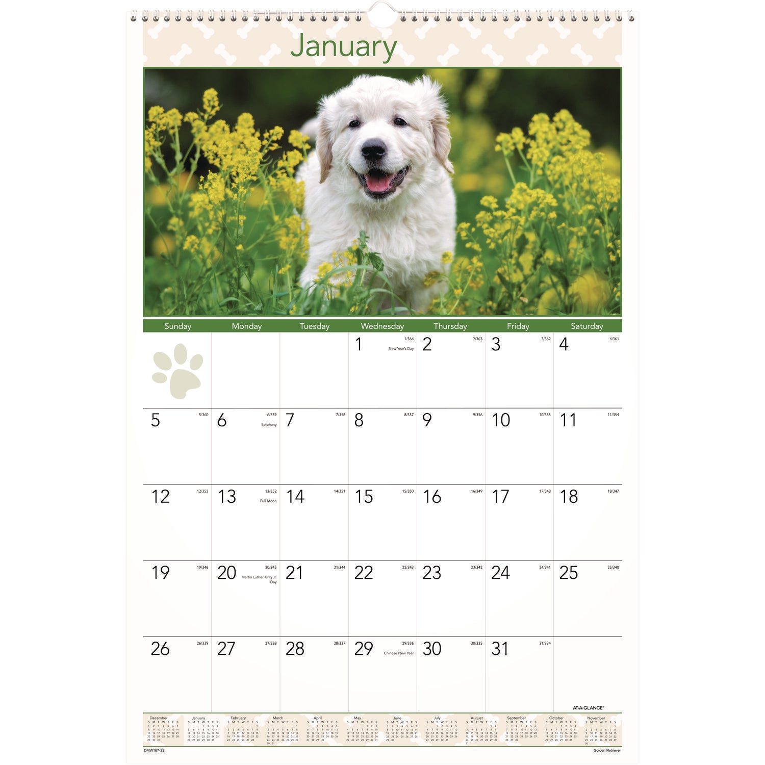 Puppies Monthly Wall Calendar, Puppies Photography, 15.5 x 22.75, White/Multicolor Sheets, 12-Month (Jan to Dec): 2025