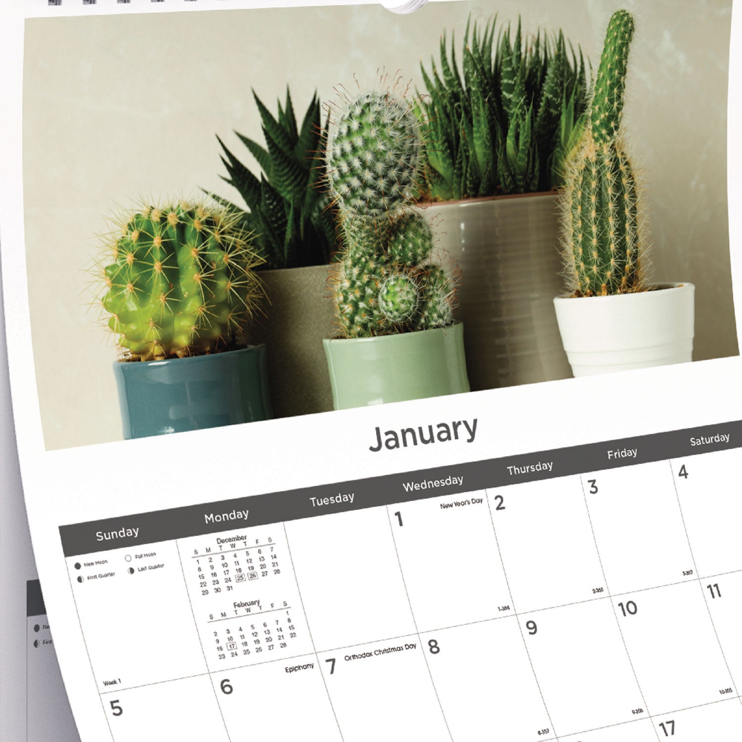 12-Month Wall Calendar, Succulent Plants Photography, 12 x 17, White/Multicolor Sheets, 12-Month (Jan to Dec): 2025 Blueline® Flipcost