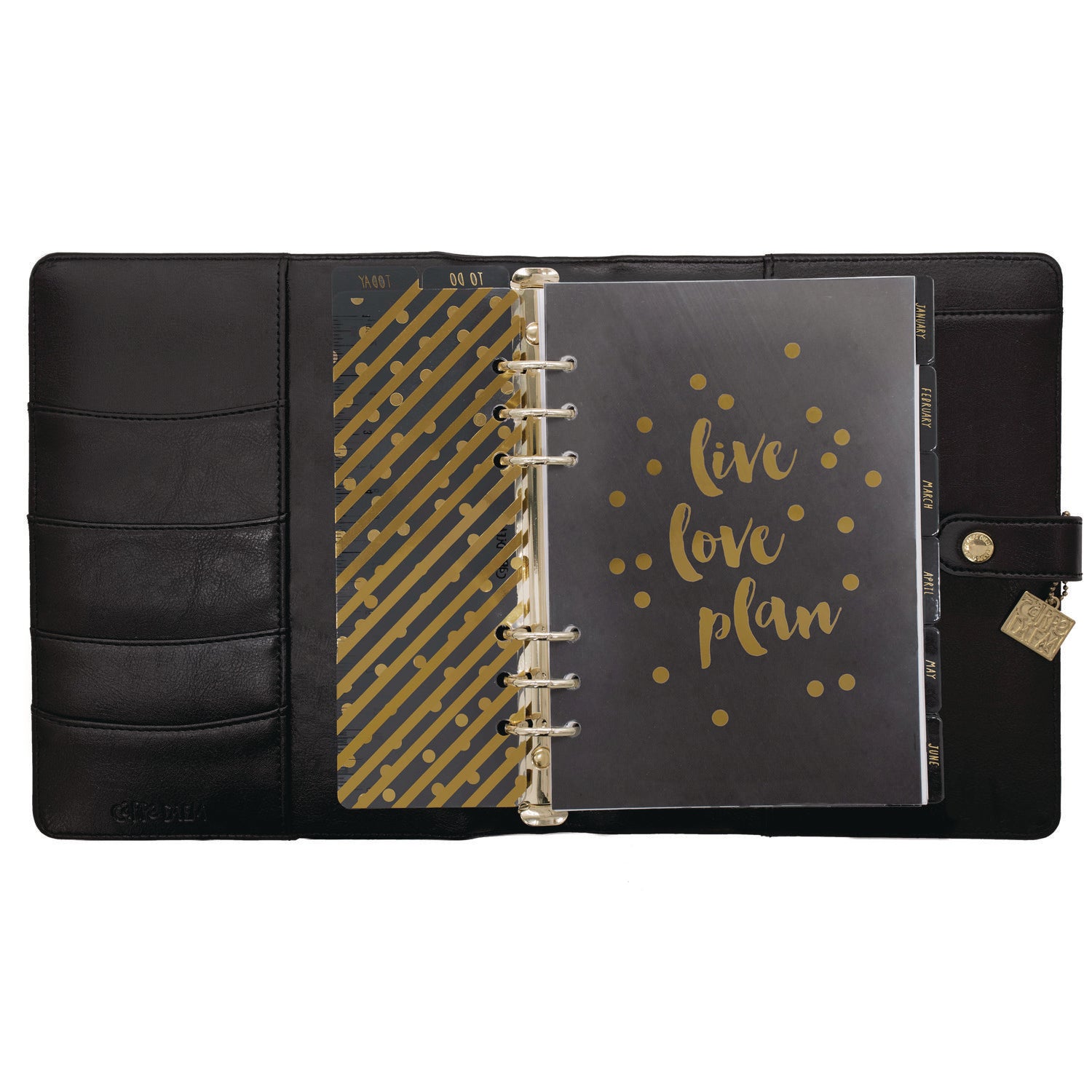 A5 Planner, 10.24 x 9.25, Black Cover, 12-Month PUKKA PAD® Flipcost