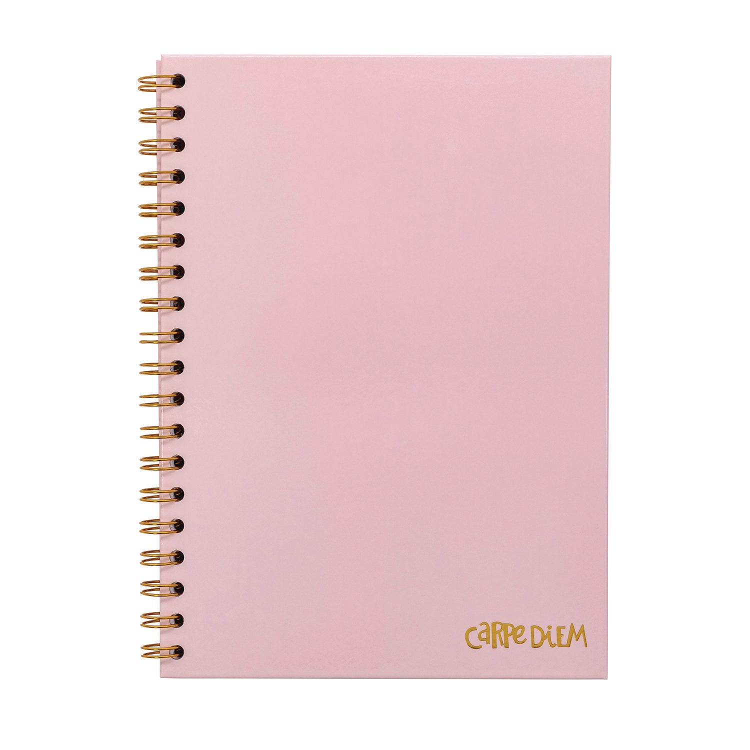 B5 Size Notebook, 1 -Subject, Medium/College Rule, Pink Cover, (80) 9.8 x 6.9 Sheets, 3/Pack PUKKA PAD® Flipcost