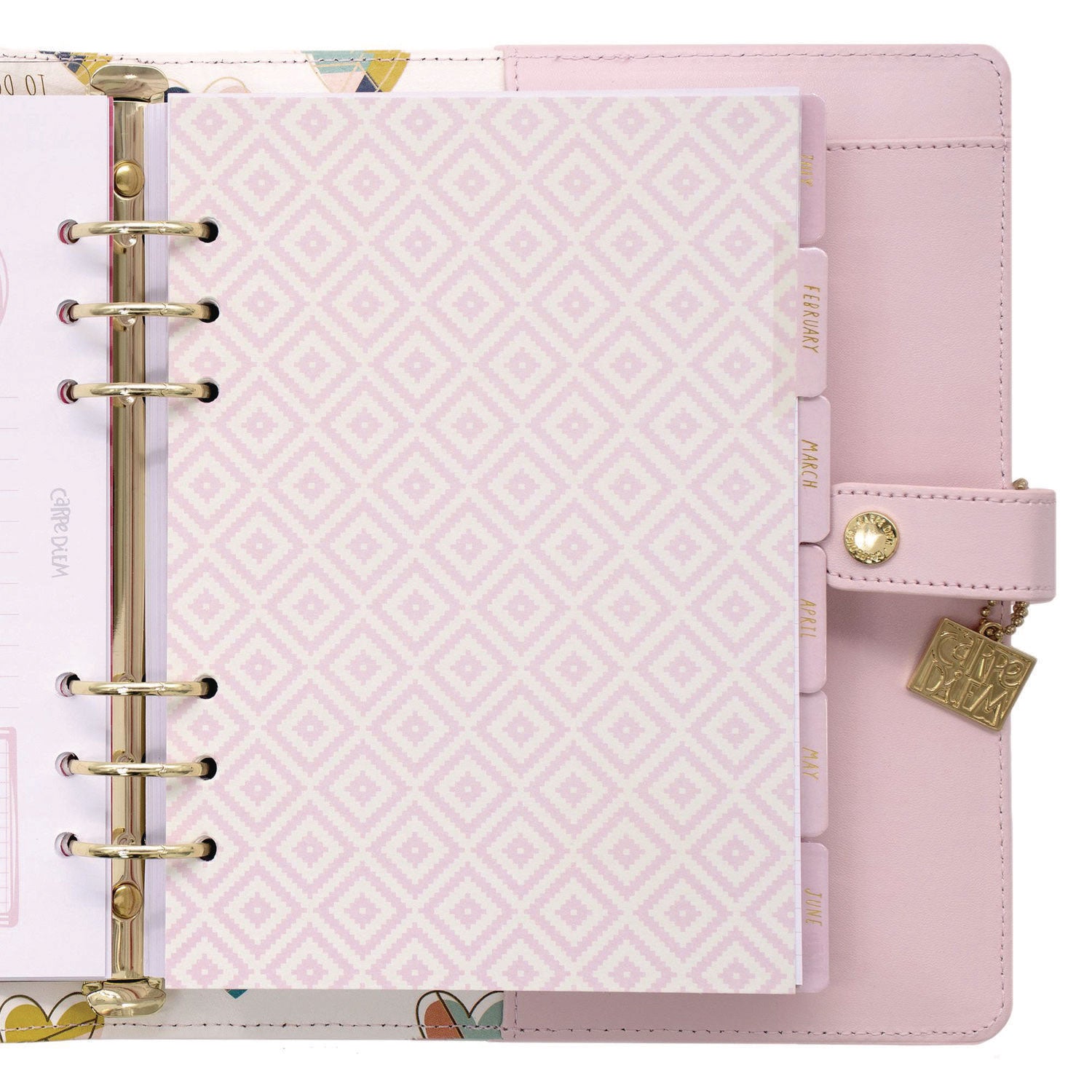 A5 Planner, 10.24 x 9.25, Pink Cover, 12-Month PUKKA PAD® Flipcost