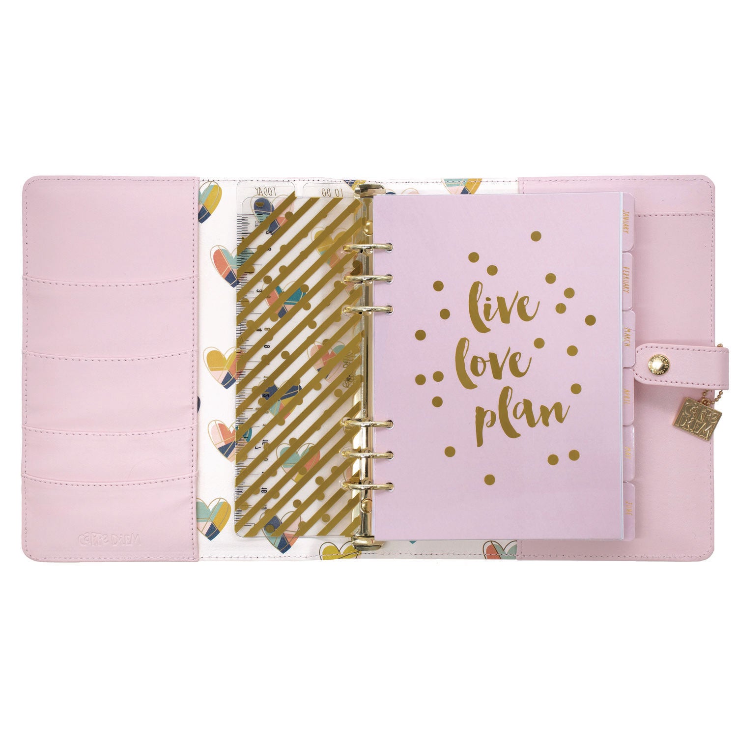 A5 Planner, 10.24 x 9.25, Pink Cover, 12-Month PUKKA PAD® Flipcost