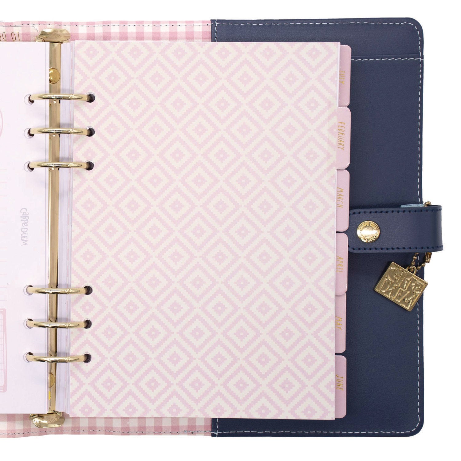 A5 Planner, Feathers, 10.24 x 9.25, Blue/Pink/White/Yellow Cover, 12-Month PUKKA PAD® Flipcost