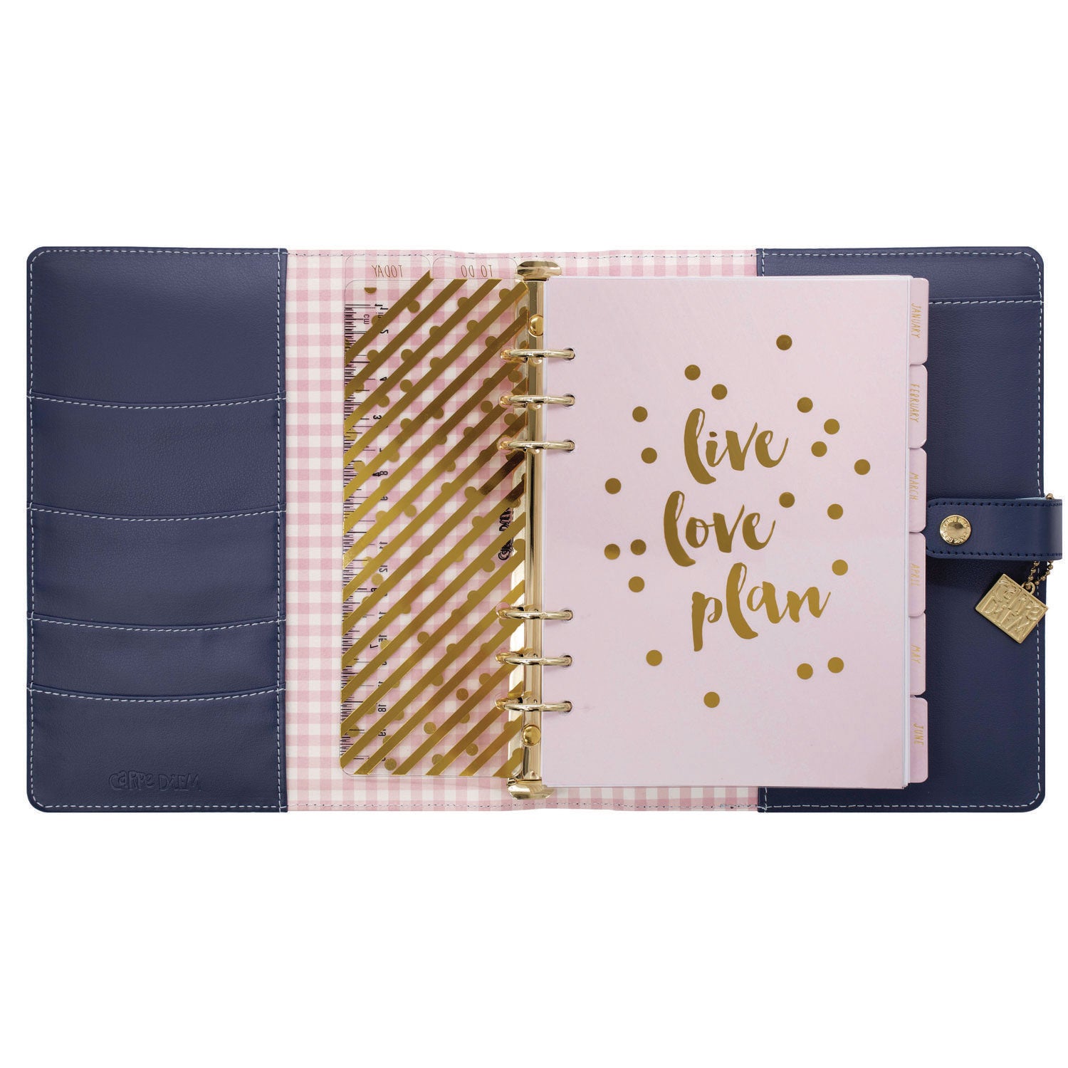 A5 Planner, Feathers, 10.24 x 9.25, Blue/Pink/White/Yellow Cover, 12-Month PUKKA PAD® Flipcost