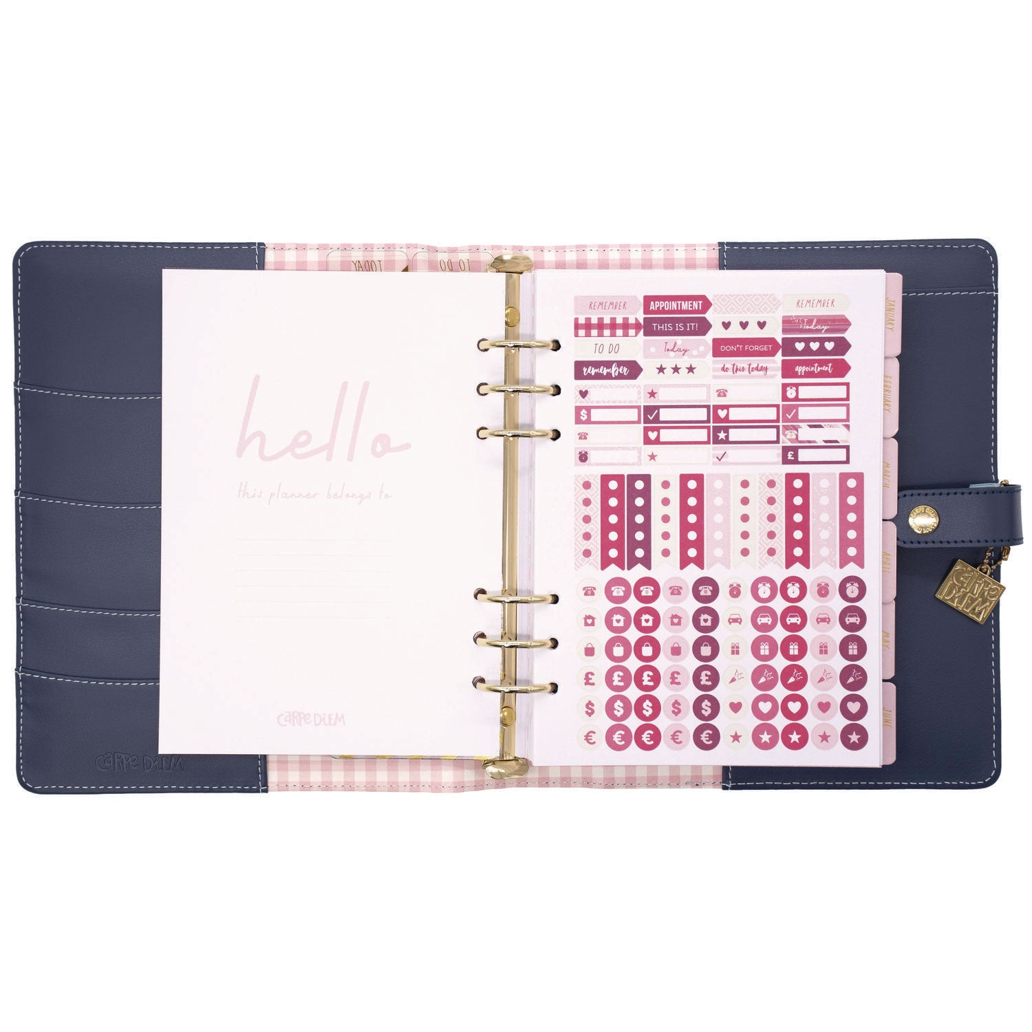 A5 Planner, Feathers, 10.24 x 9.25, Blue/Pink/White/Yellow Cover, 12-Month PUKKA PAD® Flipcost