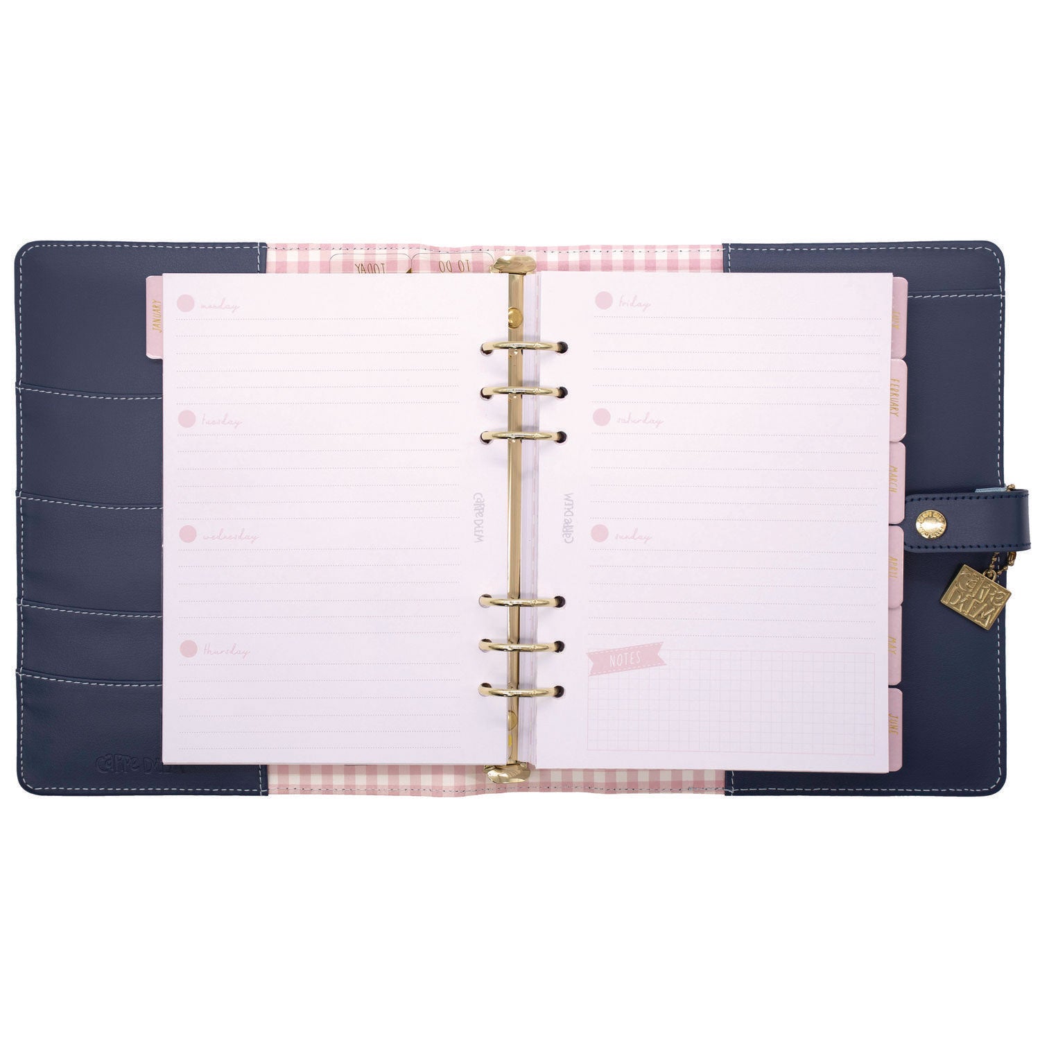 A5 Planner, Feathers, 10.24 x 9.25, Blue/Pink/White/Yellow Cover, 12-Month PUKKA PAD® Flipcost