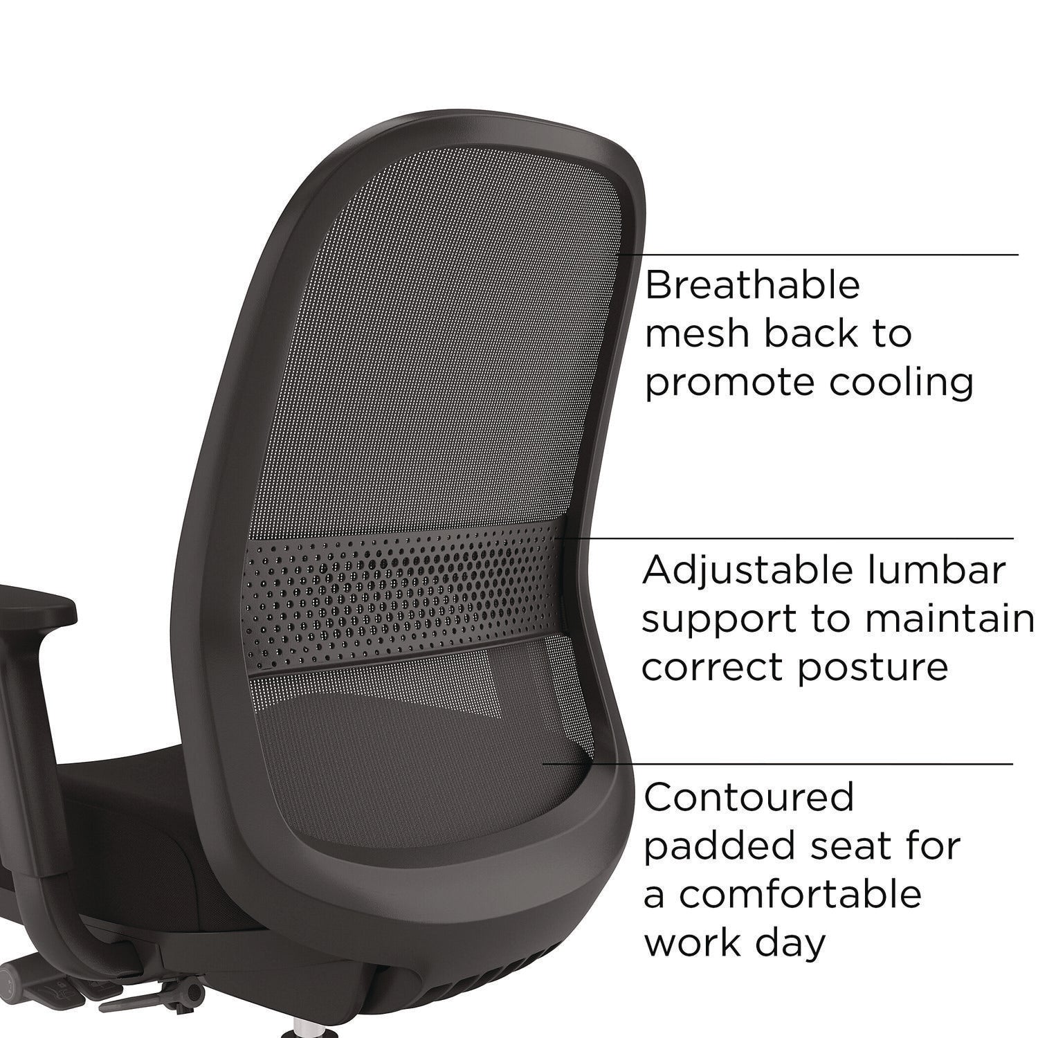 Kempton Ergonomic Fabric Mesh Swivel Task Chair, Supports Up to 275 lb, 18.31 to 22.17 Seat Height, Black Seat/Back/Base Alera® Flipcost