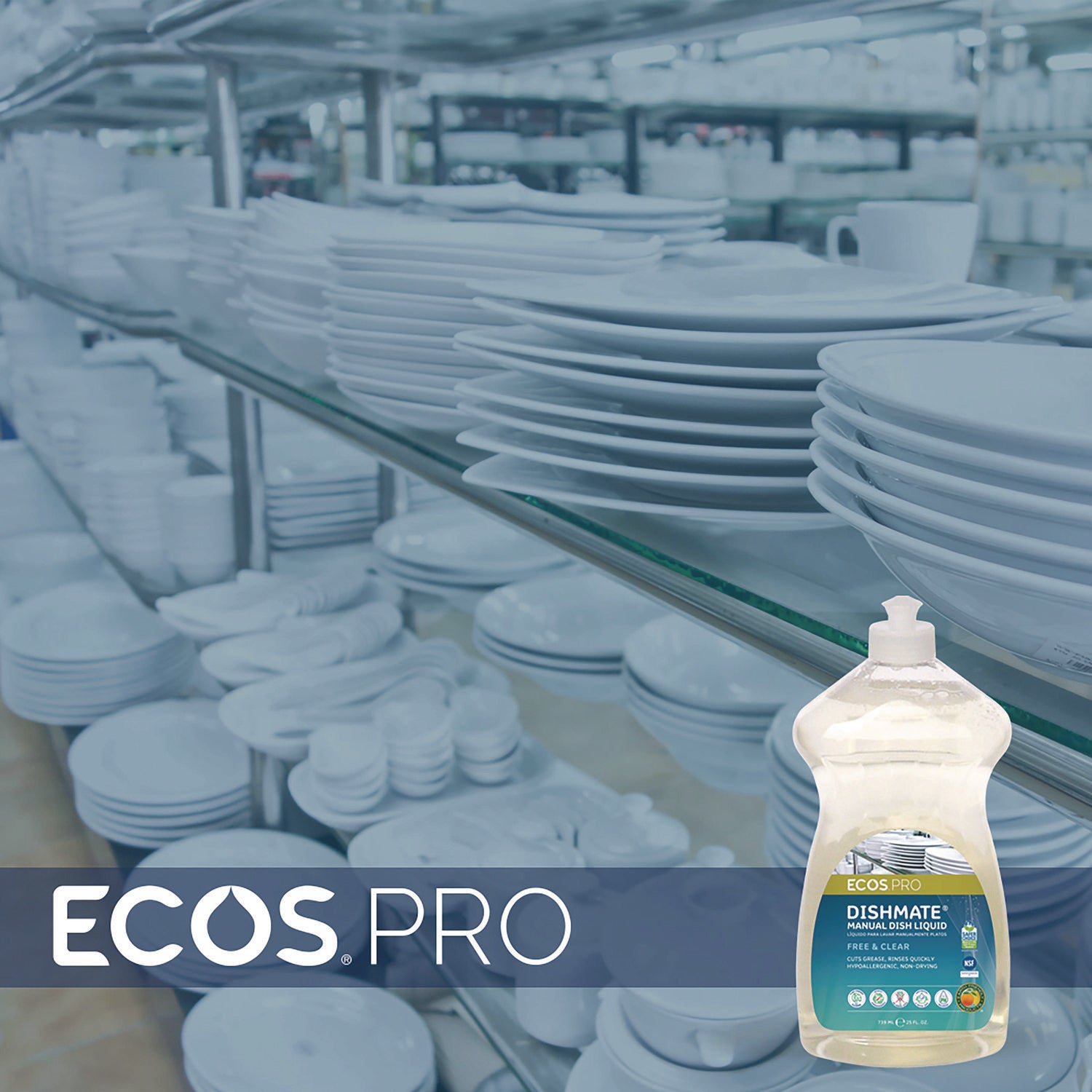 ECOS® PRO Dishmate Manual Dish Liquid, Free and Clear, 25 oz Squeeze Bottle, 6/Carton