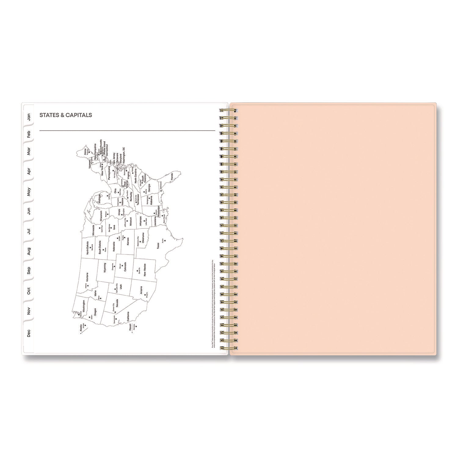 Blue Sky® Natalya Weekly/Monthly Planner, Abstract Artwork, 11 x 8.5, Peach-Pink/White Cover, 12-Month (Jan to Dec): 2025