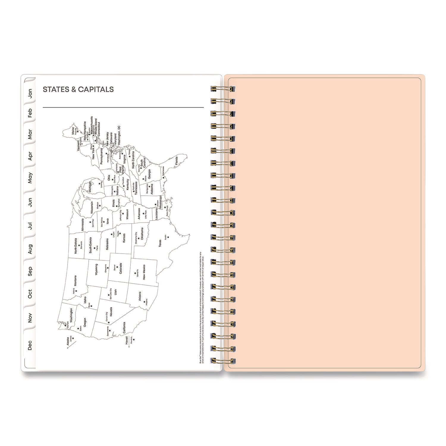 Blue Sky® Natalya Weekly/Monthly Planner, Abstract Artwork, 8 x 5, Peach-Pink/White Cover, 12-Month (Jan to Dec): 2025