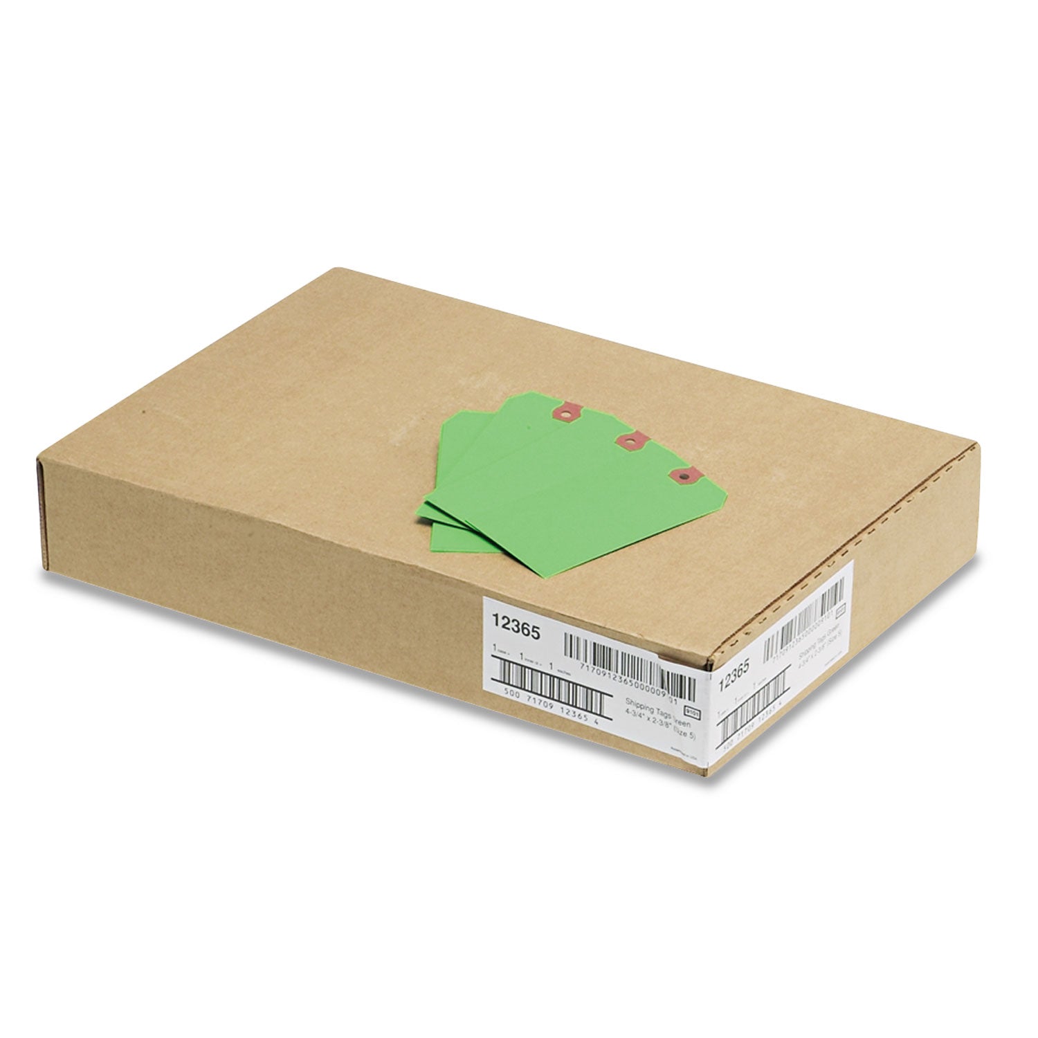 Avery® Unstrung Shipping Tags, 11.5 pt Stock, 4.75 x 2.38, Green, 1,000/Box