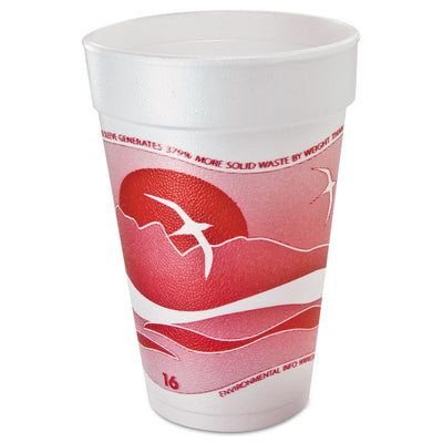 DART Horizon Hot/Cold Foam Drinking Cups, 16 oz, Printed, Cranberry/White, 25/Bag, 40 Bags/Carton - Flipcost