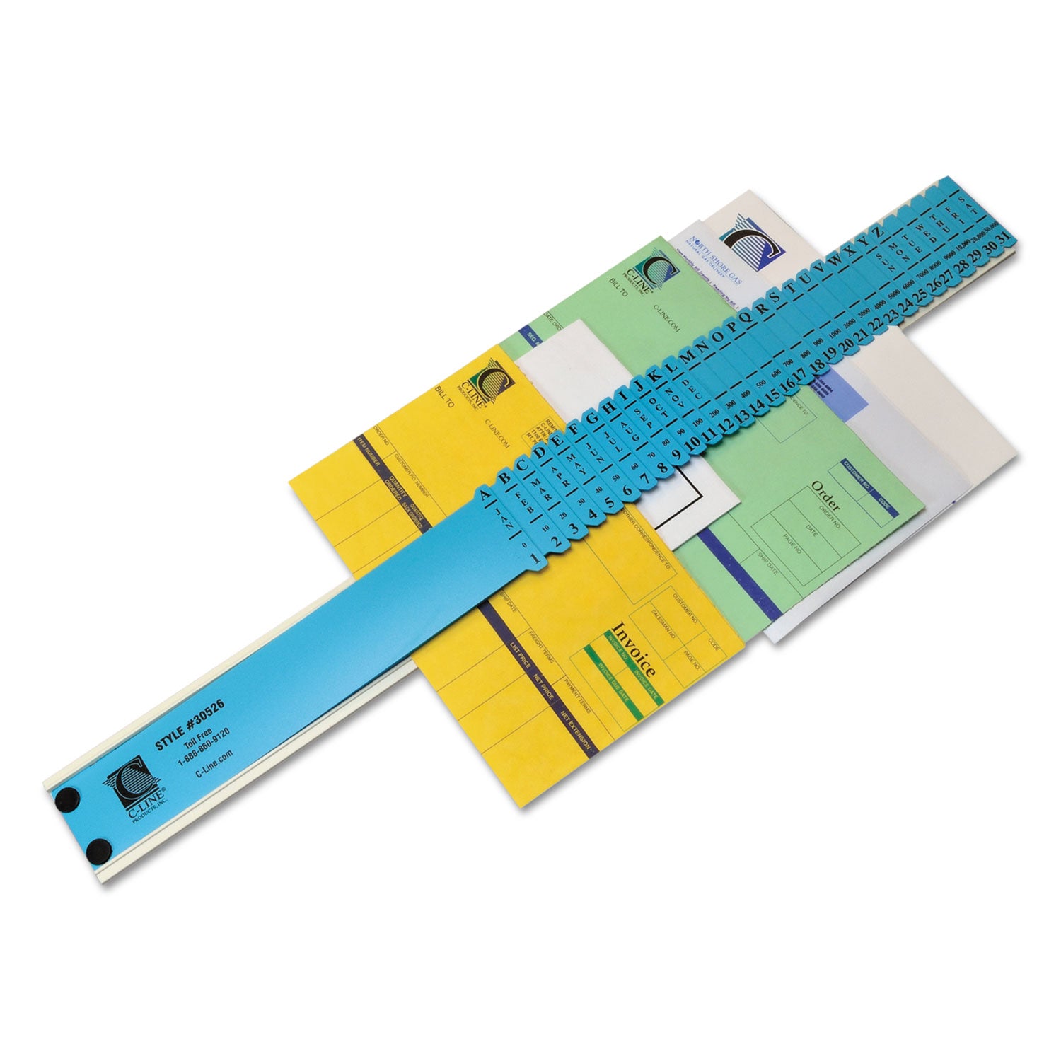 Plastic Indexed Sorter, 31 Dividers, Alpha/Numeric/Month/Date/Day Index, Letter Size, Blue Frame