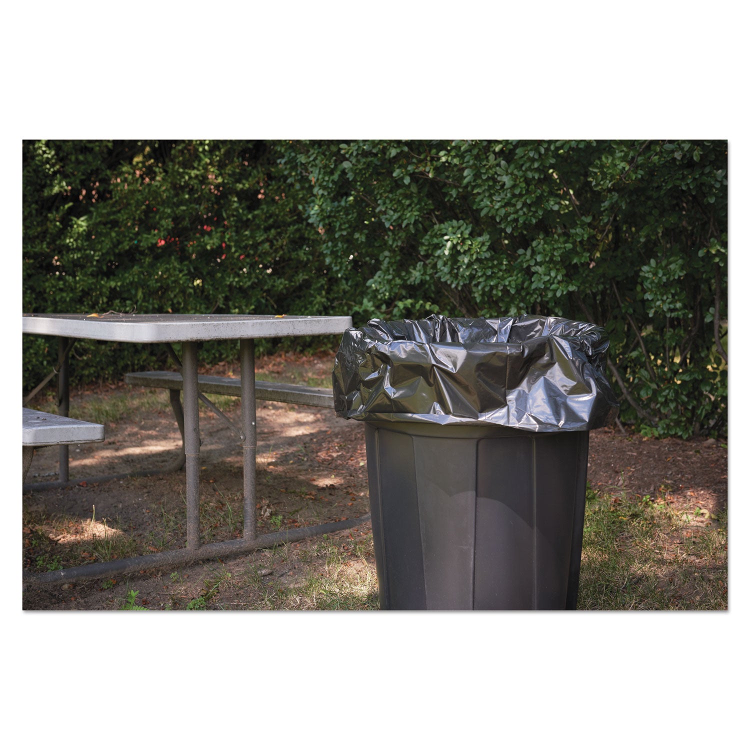 Stout® by Envision™ Insect-Repellent Trash Bags, 55 gal, 2 mil, 37" x 52", Black, 65/Box