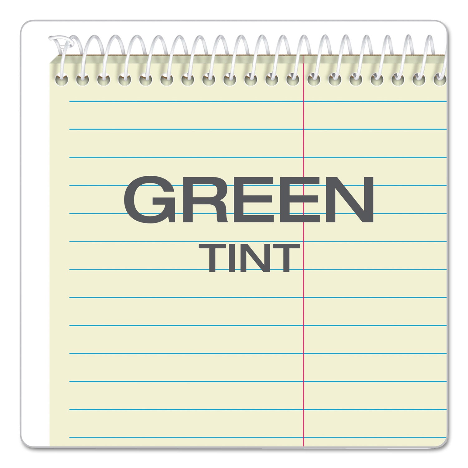 TOPS™ Gregg Steno Pads, Gregg Rule, 80 Green-Tint 6 X 9 Sheets