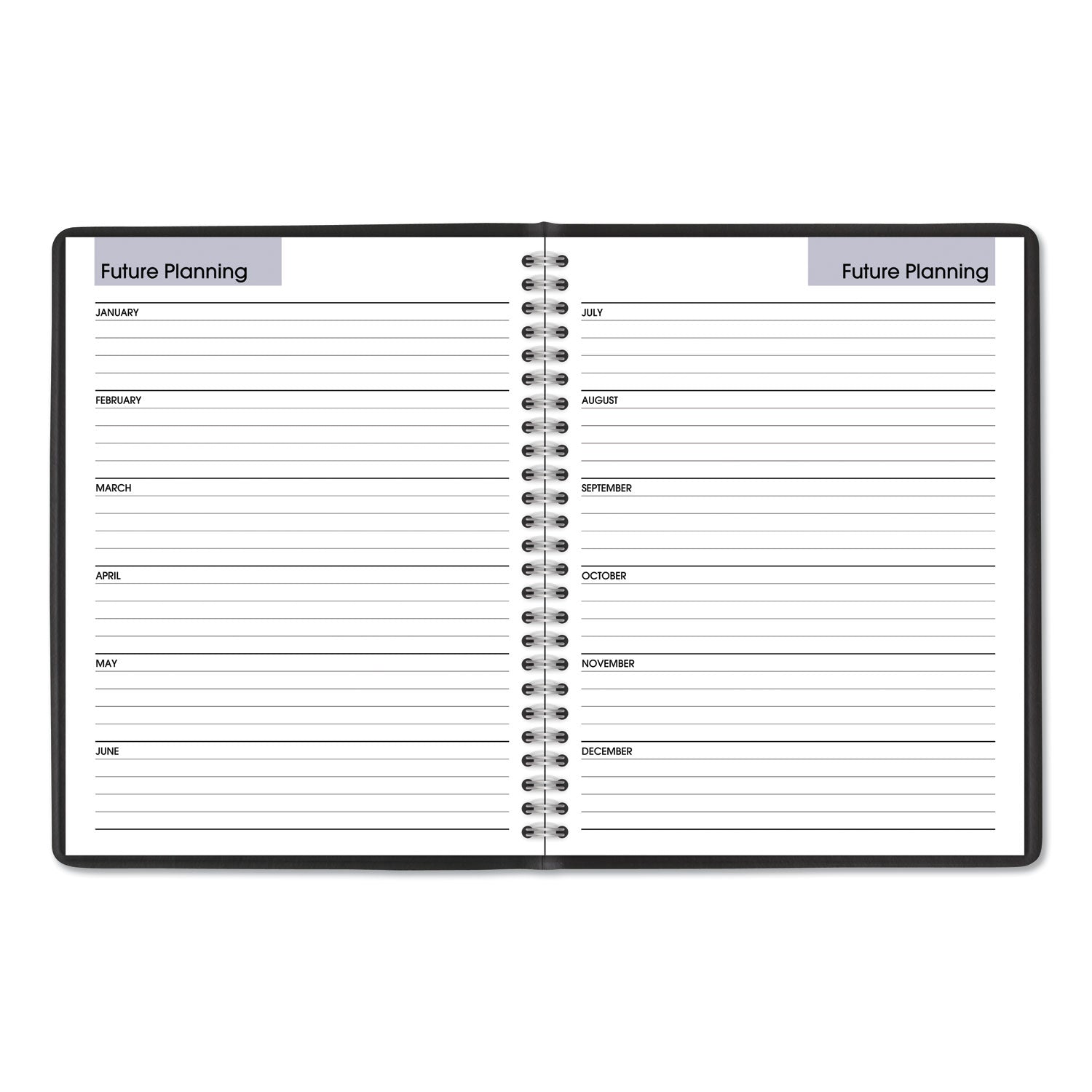 AT-A-GLANCE® DayMinder Monthly Planner with Notes Column, Ruled Blocks, 8.75 x 7, Black Cover, 12-Month (Jan to Dec): 2025