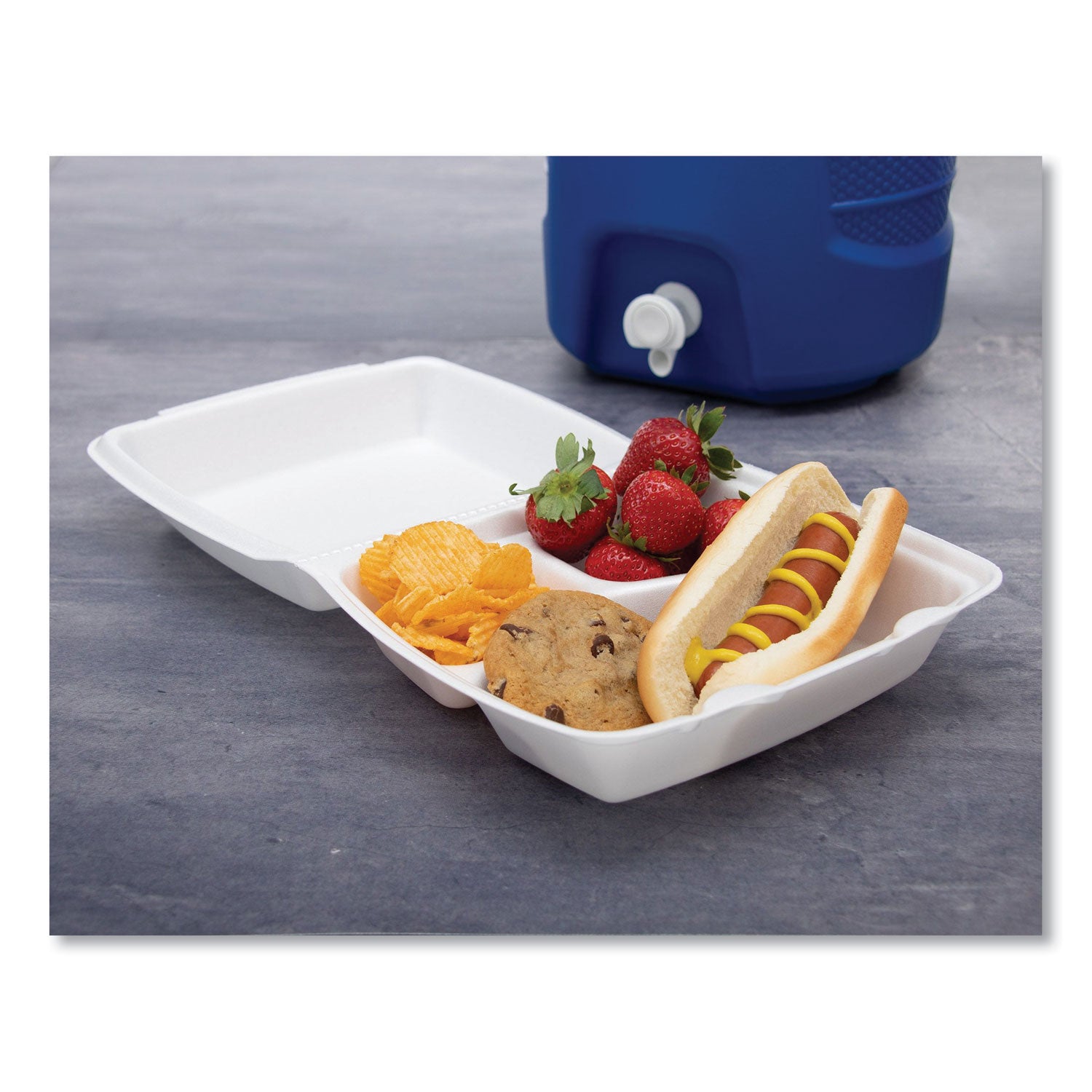 Foam Hinged Lid Containers, 3-Compartment, 8.38 x 7.78 x 3.25, 200/Carton Dart® Flipcost