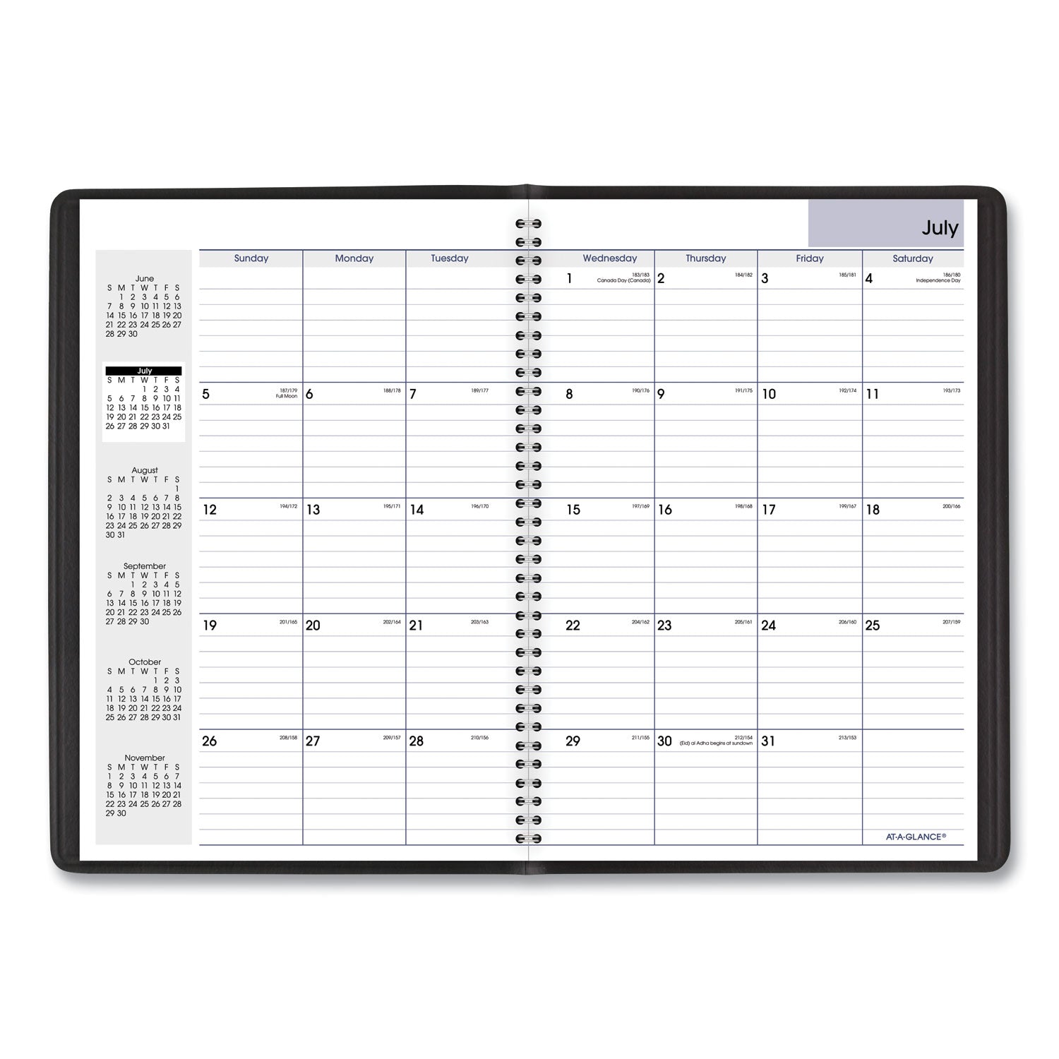 AT-A-GLANCE® DayMinder Monthly Planner, Academic Year, Ruled Blocks, 12 x 8, Black Cover, 14-Month (July to Aug): 2024 to 2025