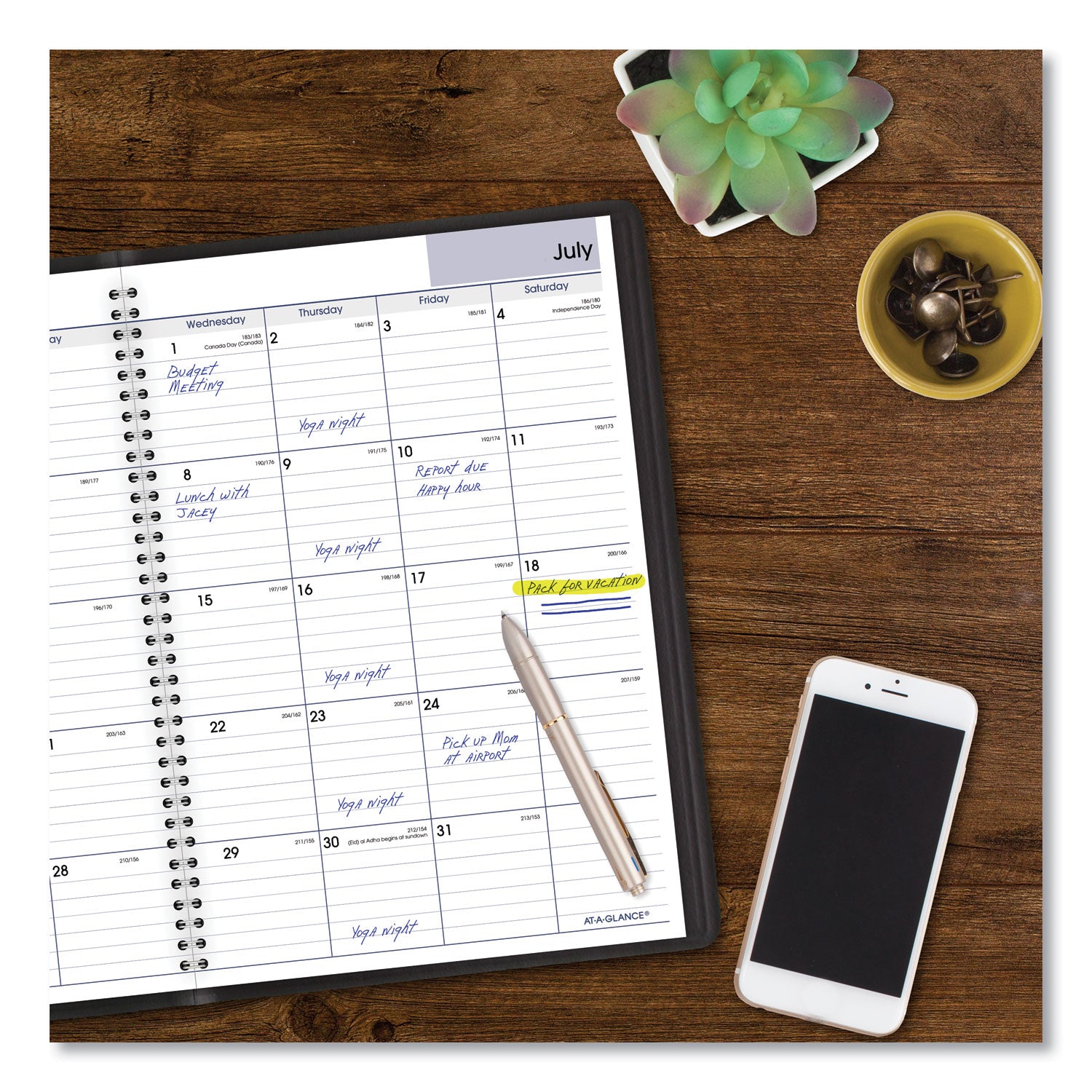 AT-A-GLANCE® DayMinder Monthly Planner, Academic Year, Ruled Blocks, 12 x 8, Black Cover, 14-Month (July to Aug): 2024 to 2025