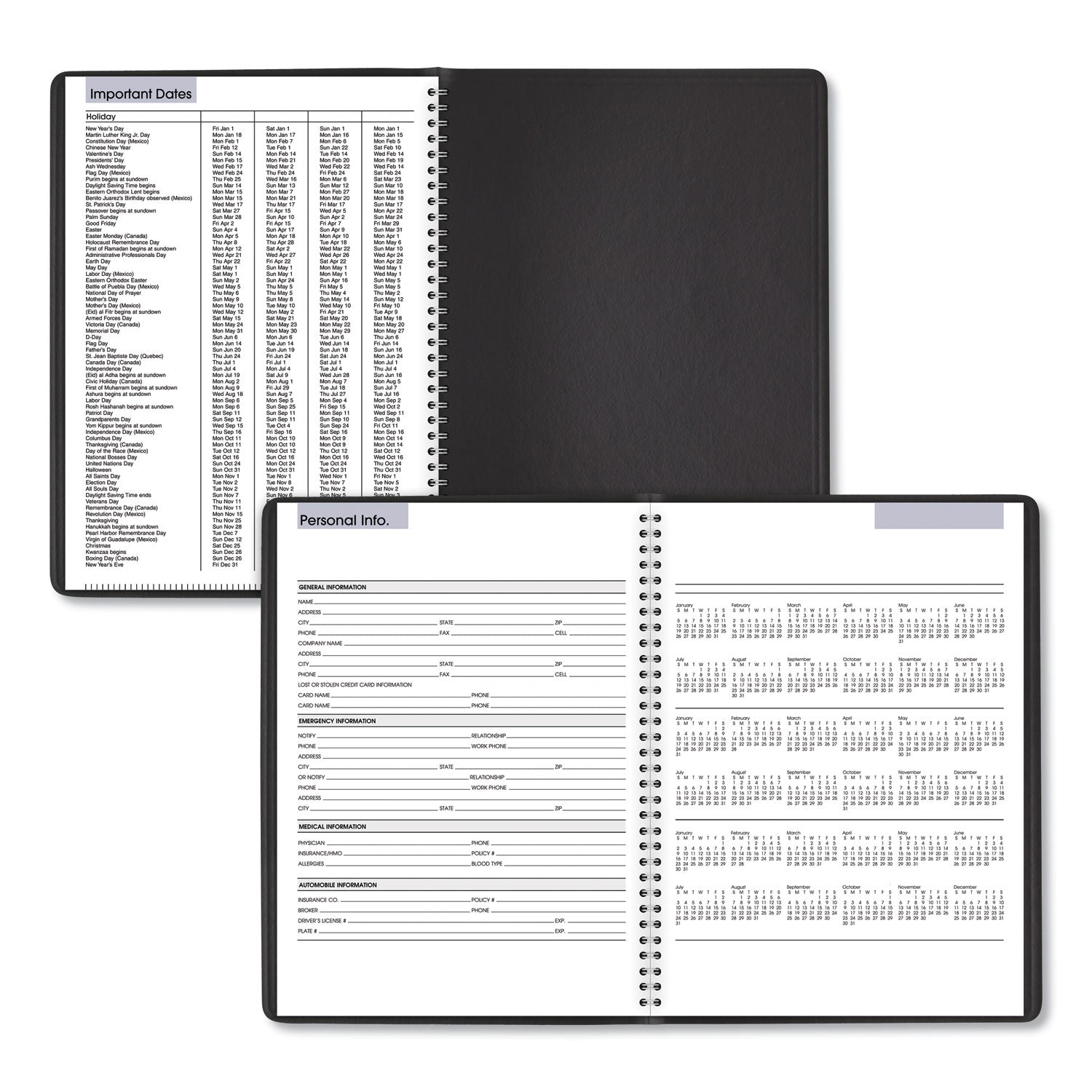 AT-A-GLANCE® DayMinder Weekly Appointment Book, Vertical-Column Format, 11 x 8, Black Cover, 12-Month (Jan to Dec): 2025