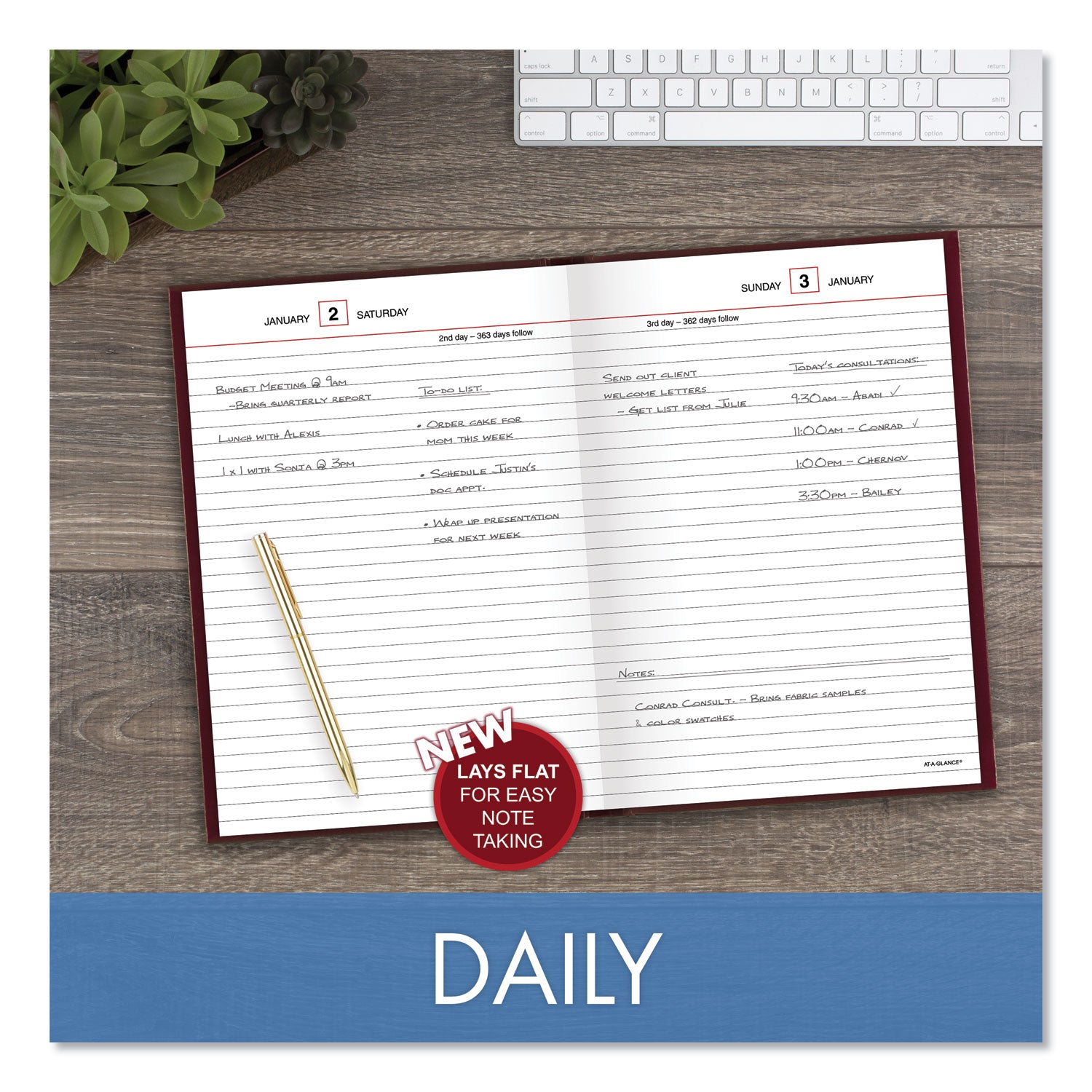 AT-A-GLANCE® Standard Diary Daily Reminder Book, 2025 Edition, Medium/College Rule, Red Cover, (201) 8.25 x 5.75 Sheets