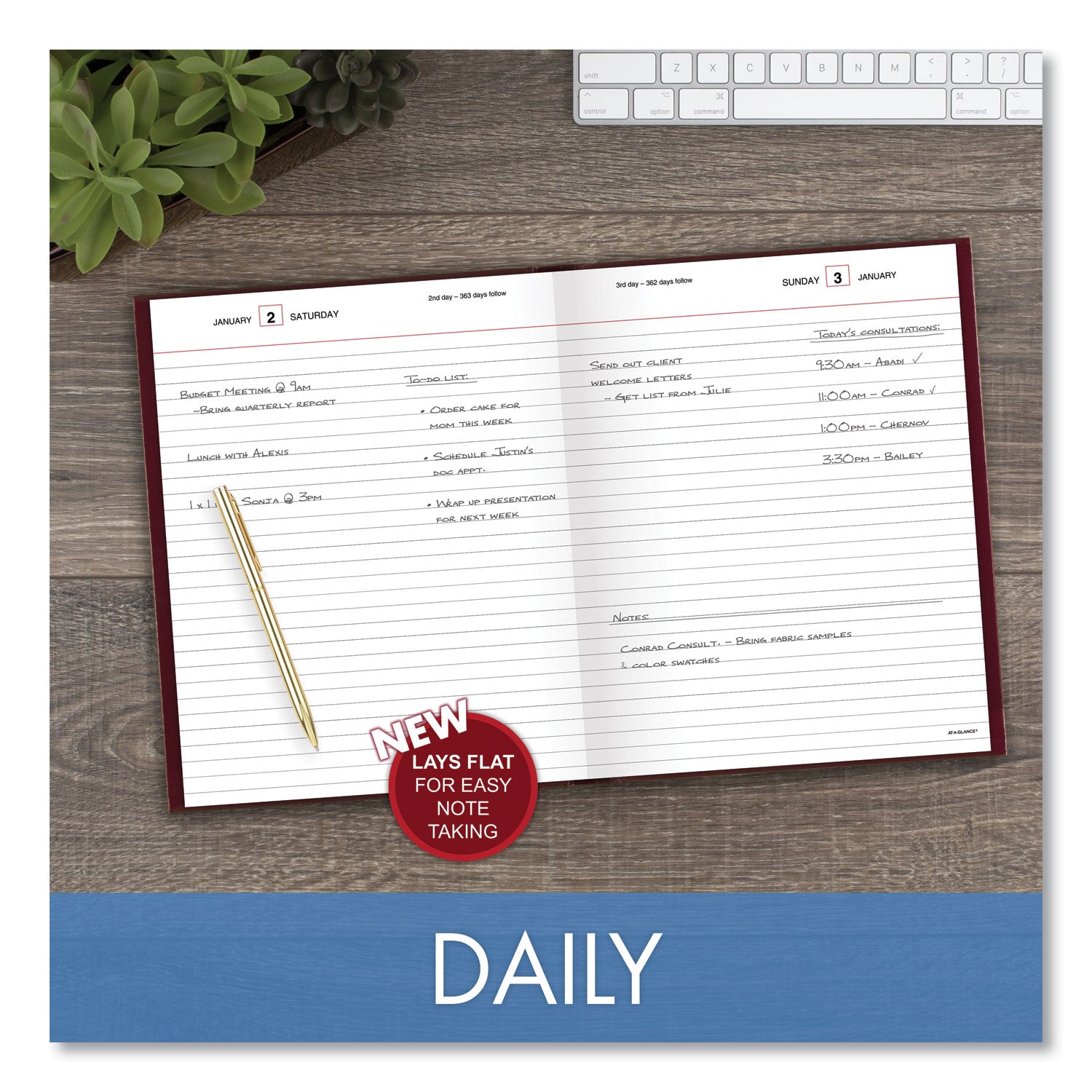 AT-A-GLANCE® Standard Diary Daily Diary, 2025 Edition, Medium/College Rule, Red Cover, (200) 9.5 x 7.5 Sheets