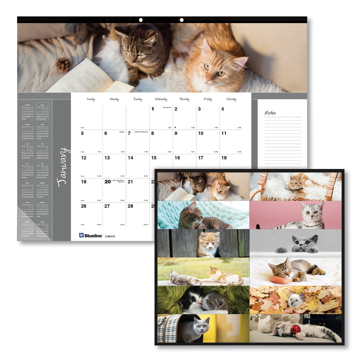 Pets Collection Monthly Desk Pad, Furry Kittens Photography, 22 x 17, White Sheets, Black Binding, 12-Month (Jan-Dec): 2025