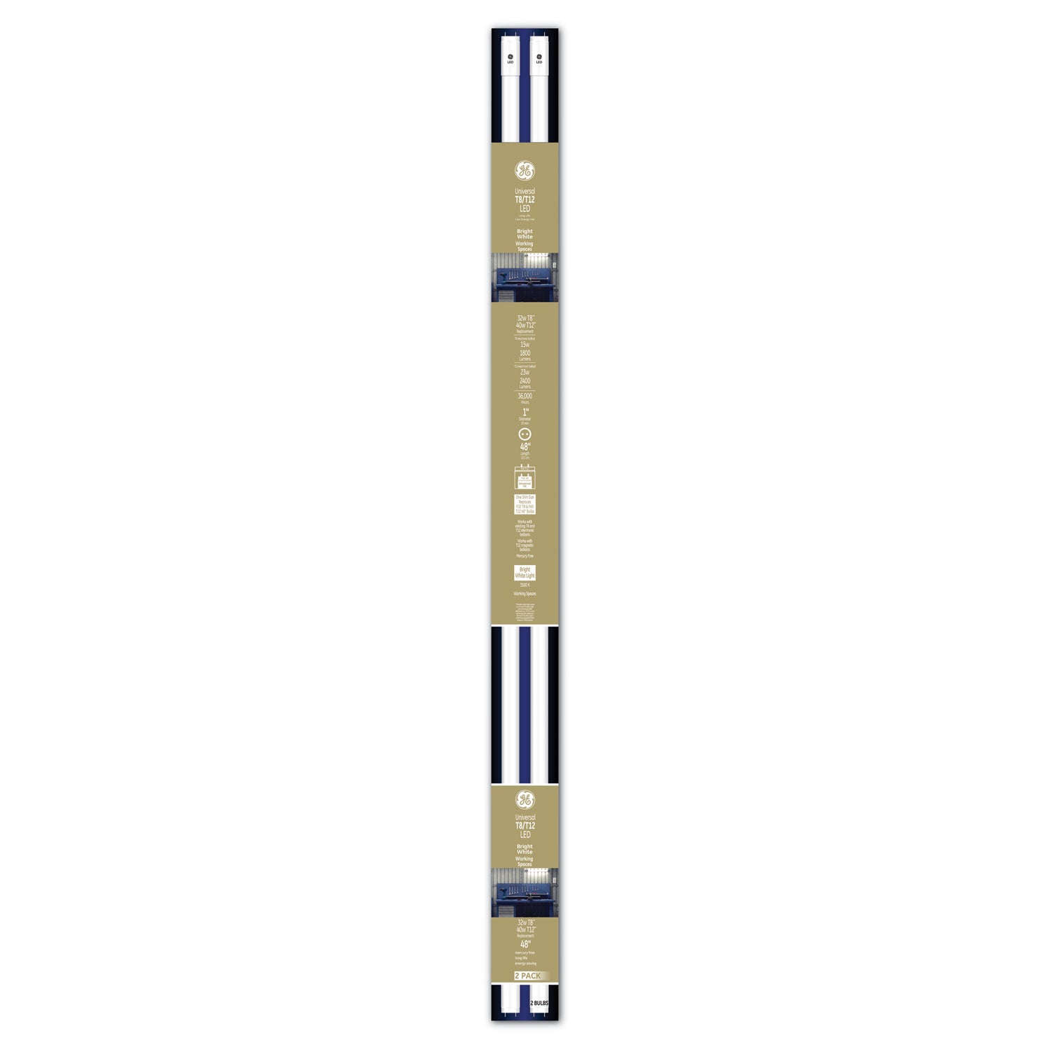 48" T8/T12, 40 W, T8 Tube, 15 W, Bright White, 6/Carton