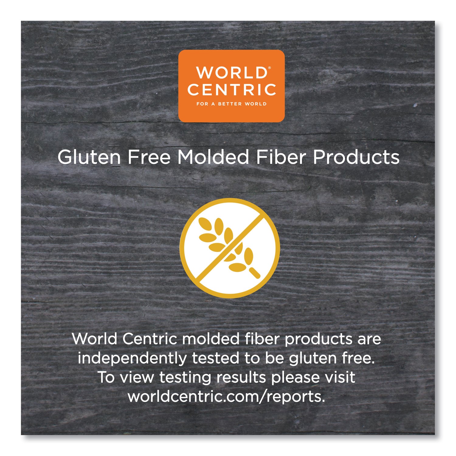 World Centric® Fiber Lids for Fiber Containers, 8.9 x 6.9 x 0.4, Natural, Paper, 400/Carton