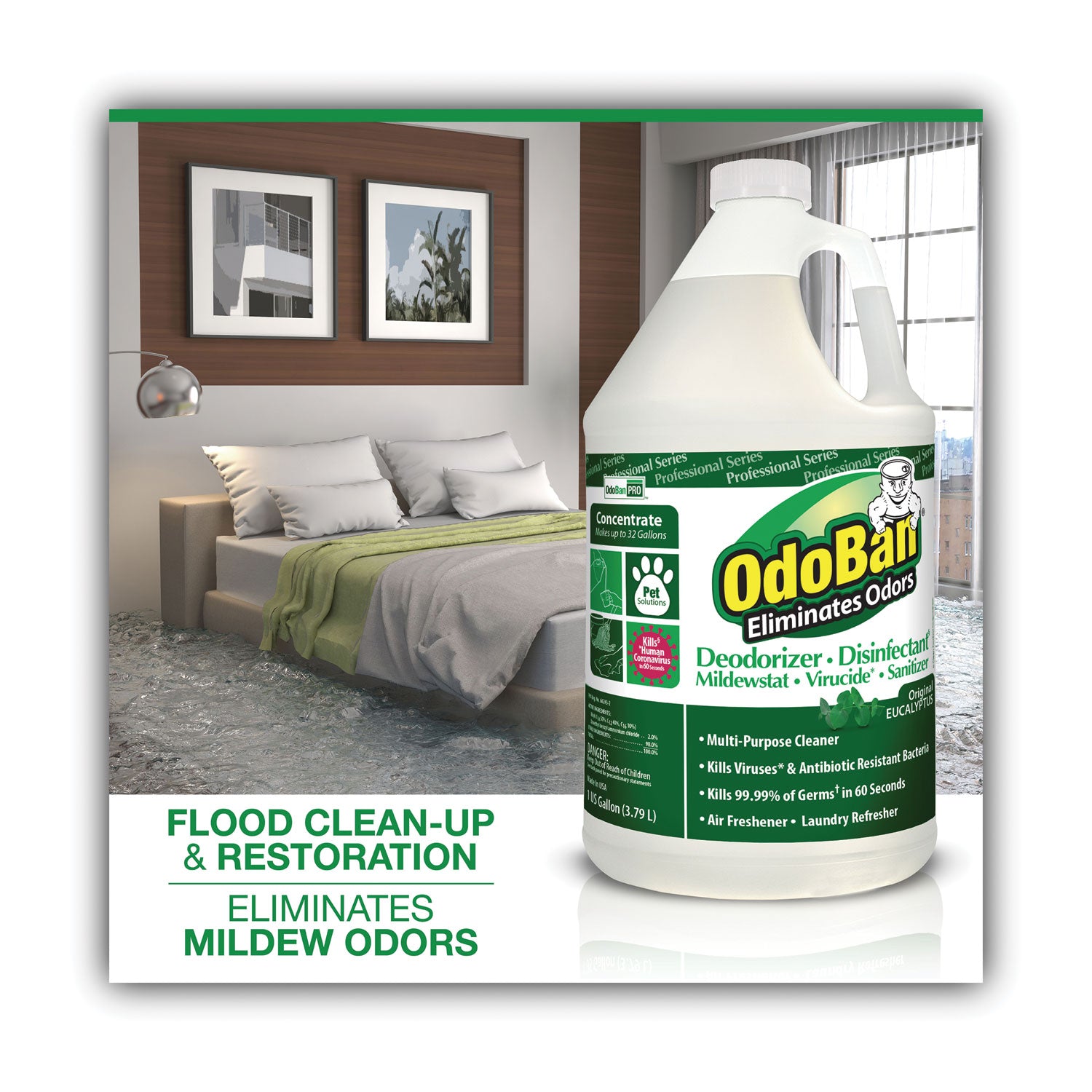 OdoBan® Concentrated Odor Eliminator, Eucalyptus, 1 gal Bottle, 4/Carton