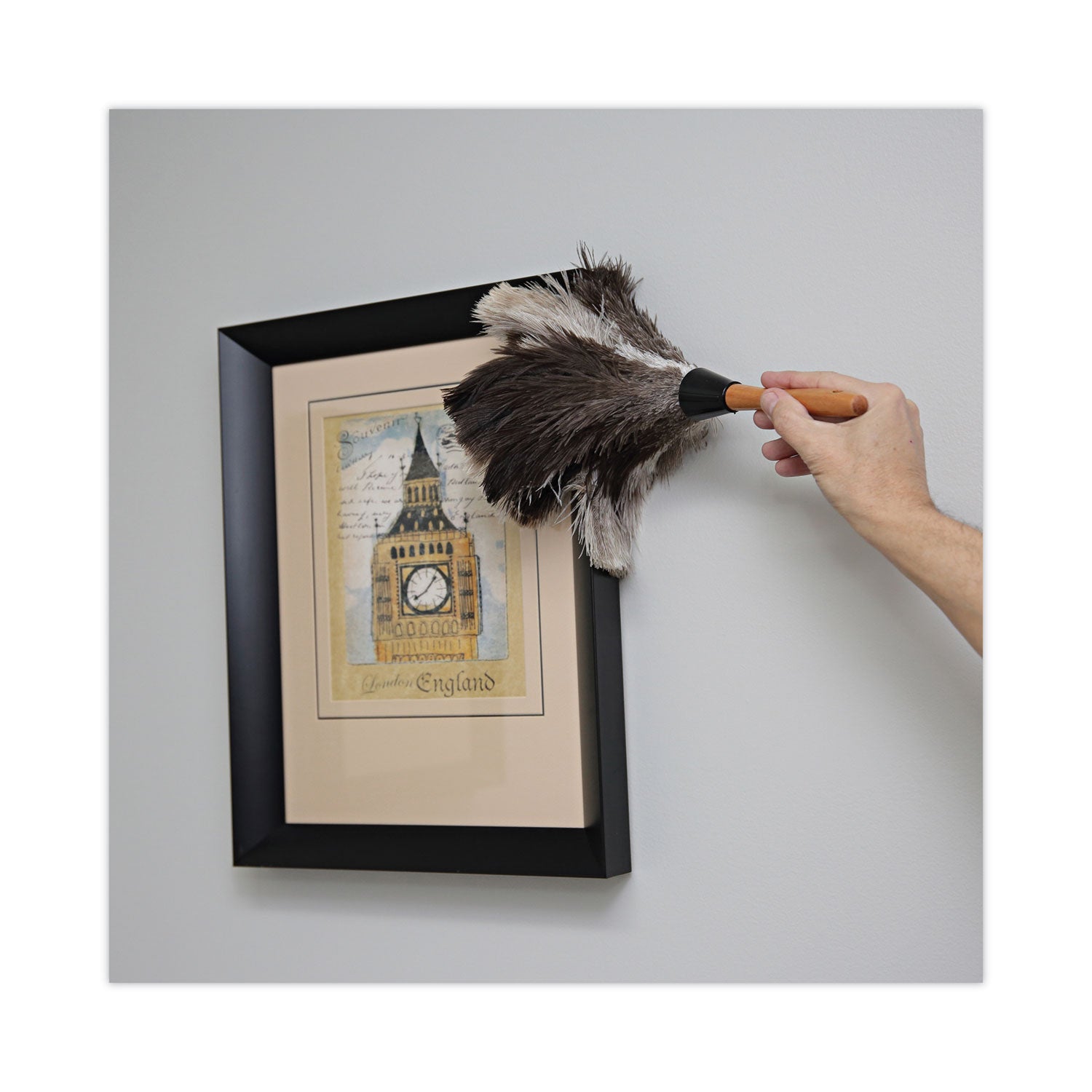 Boardwalk® Professional Ostrich Feather Duster, 7" Handle