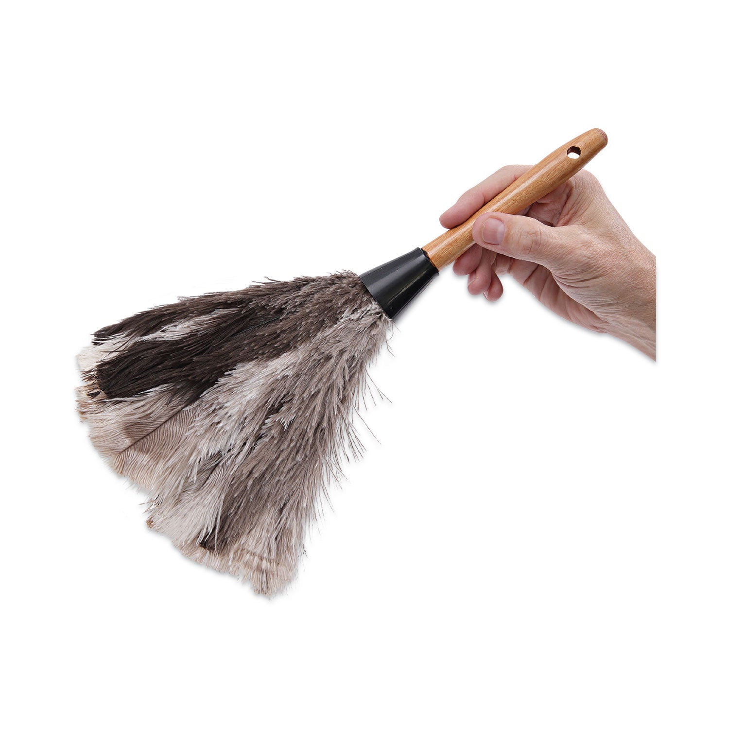 Boardwalk® Professional Ostrich Feather Duster, 7" Handle