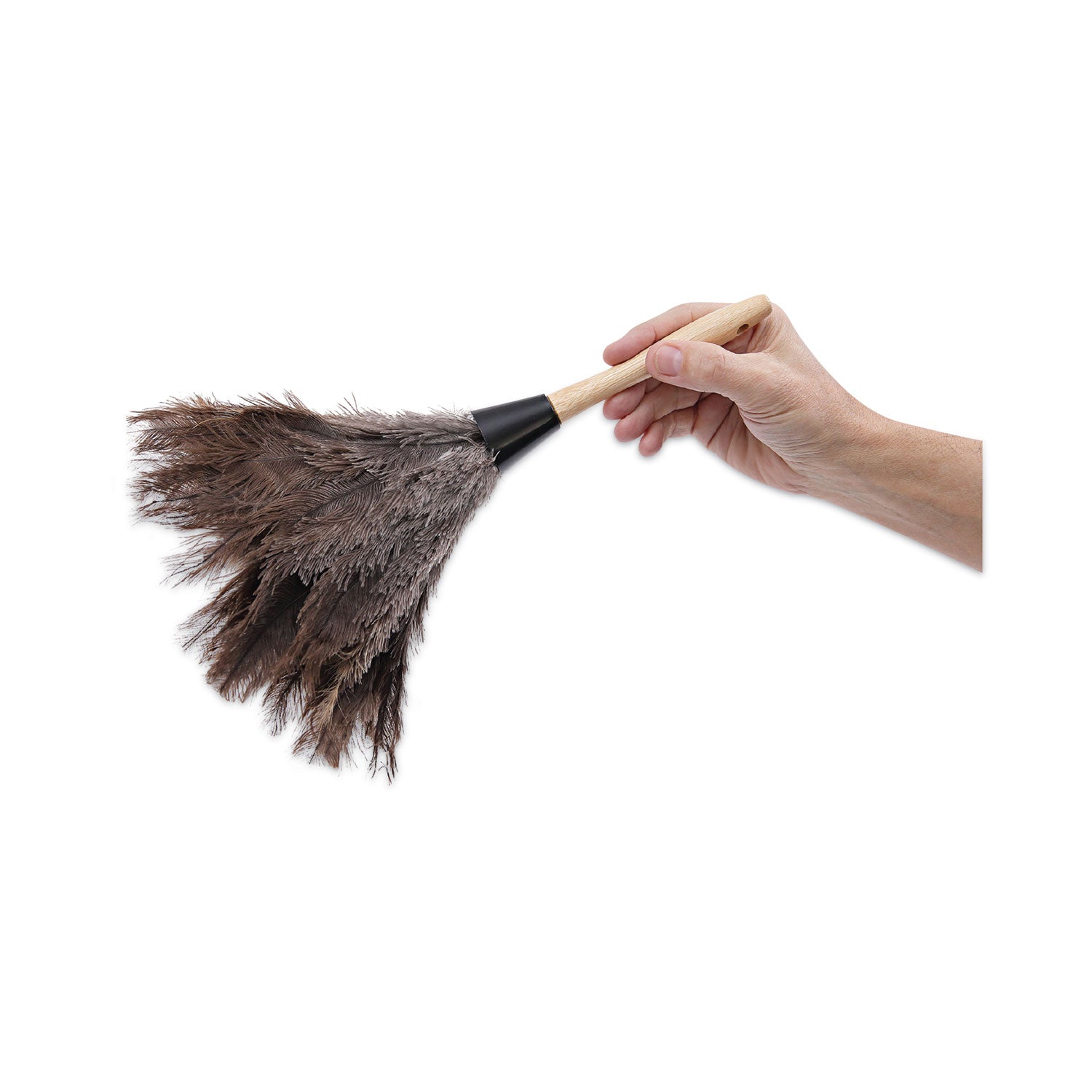 Boardwalk® Professional Ostrich Feather Duster, Gray, 14" Length, 6" Handle