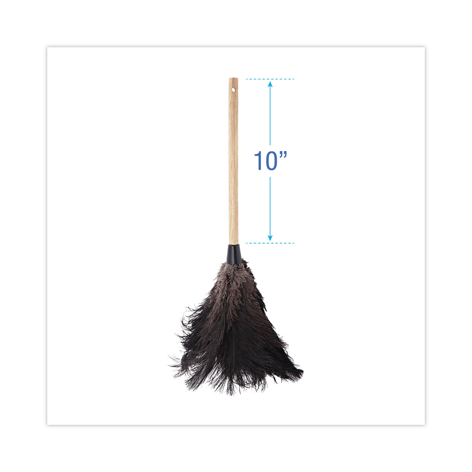 Boardwalk® Professional Ostrich Feather Duster, 10" Handle