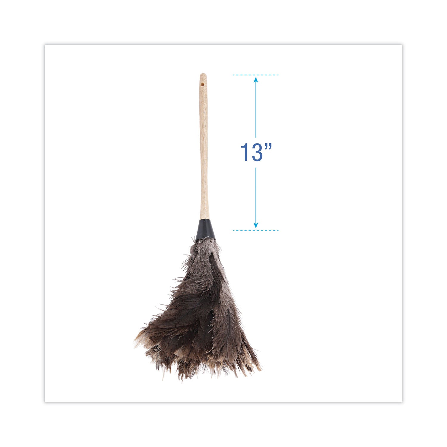 Boardwalk® Professional Ostrich Feather Duster, 13" Handle