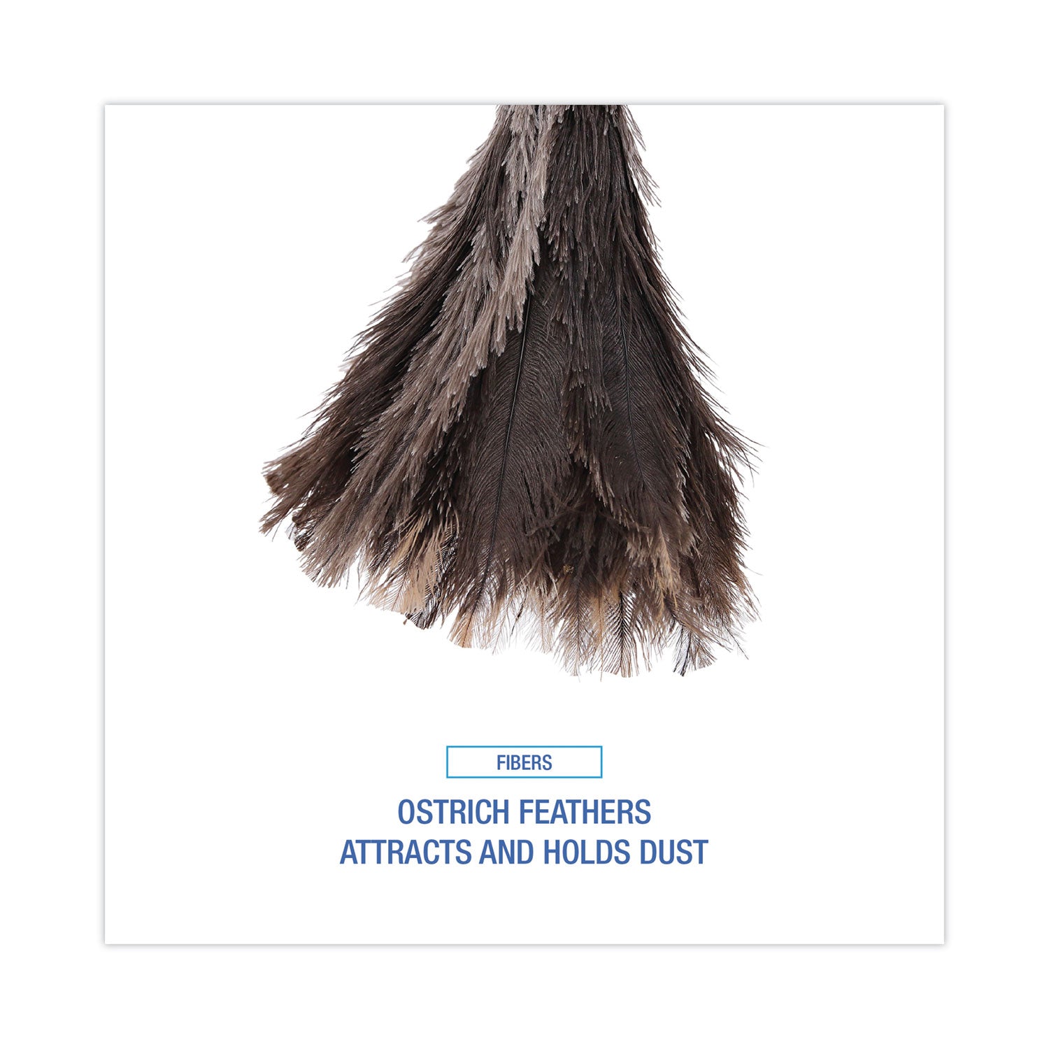 Boardwalk® Professional Ostrich Feather Duster, 13" Handle