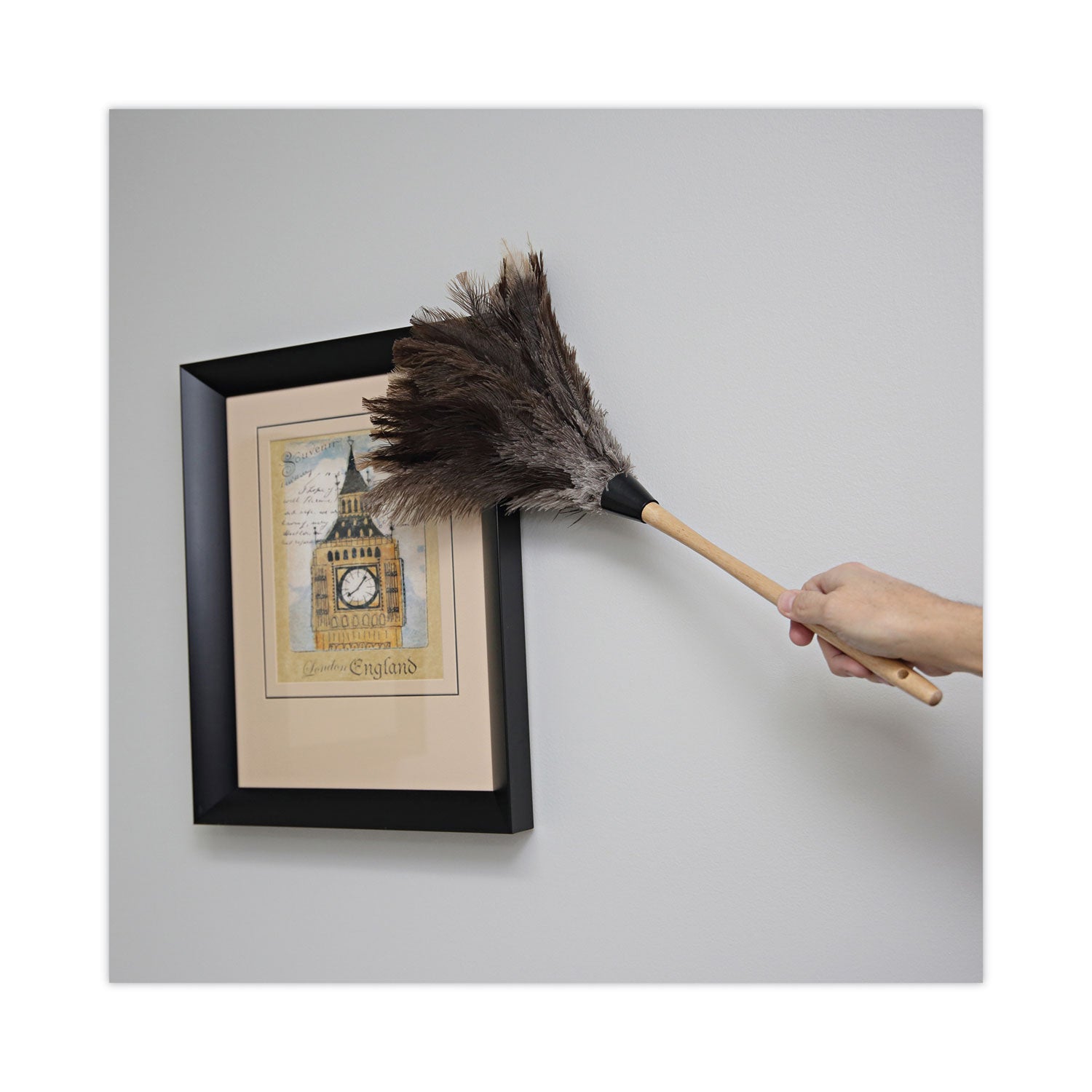 Boardwalk® Professional Ostrich Feather Duster, 13" Handle