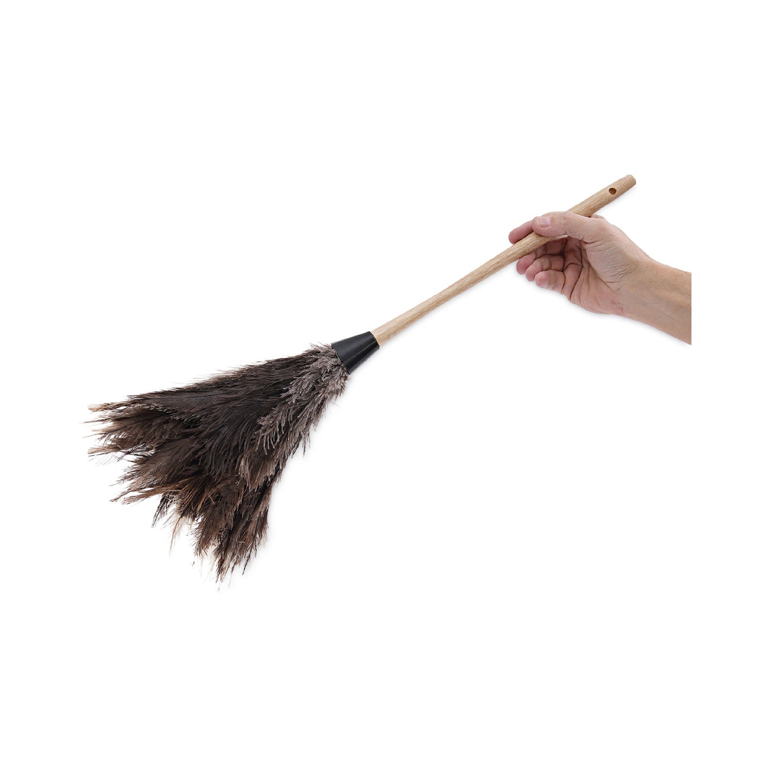 Boardwalk® Professional Ostrich Feather Duster, 13" Handle