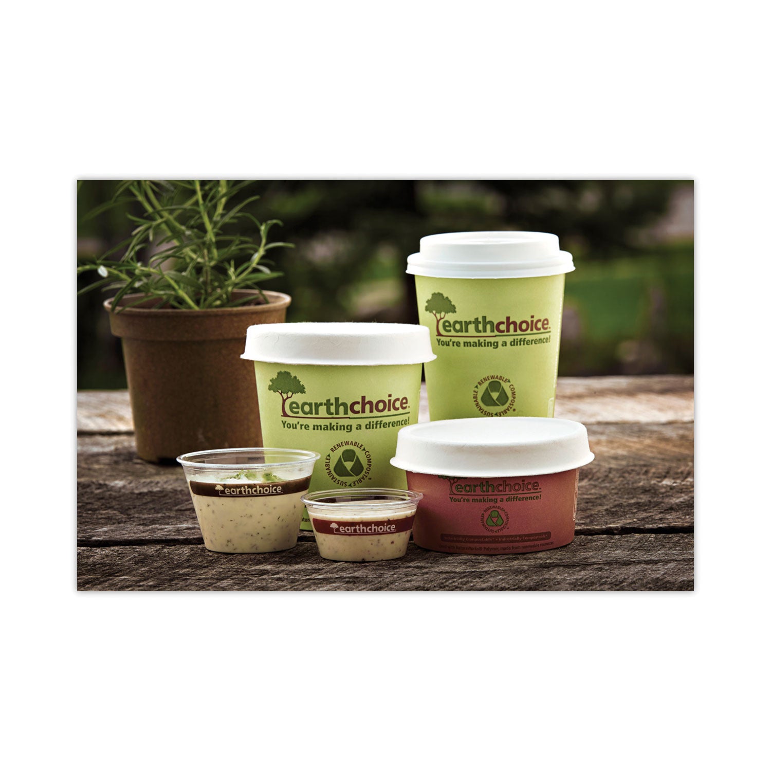 Pactiv Evergreen EarthChoice Compostable Paper Cup, 16 oz, Green, 1,000/Carton