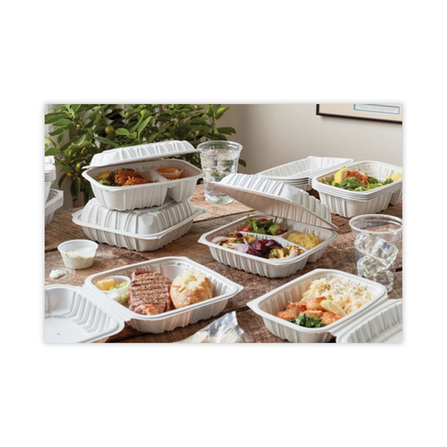 Pactiv Evergreen EarthChoice Vented Microwavable MFPP Hinged Lid Container, 8.5 x 8.5 x 3.1, White, Plastic, 146/Carton