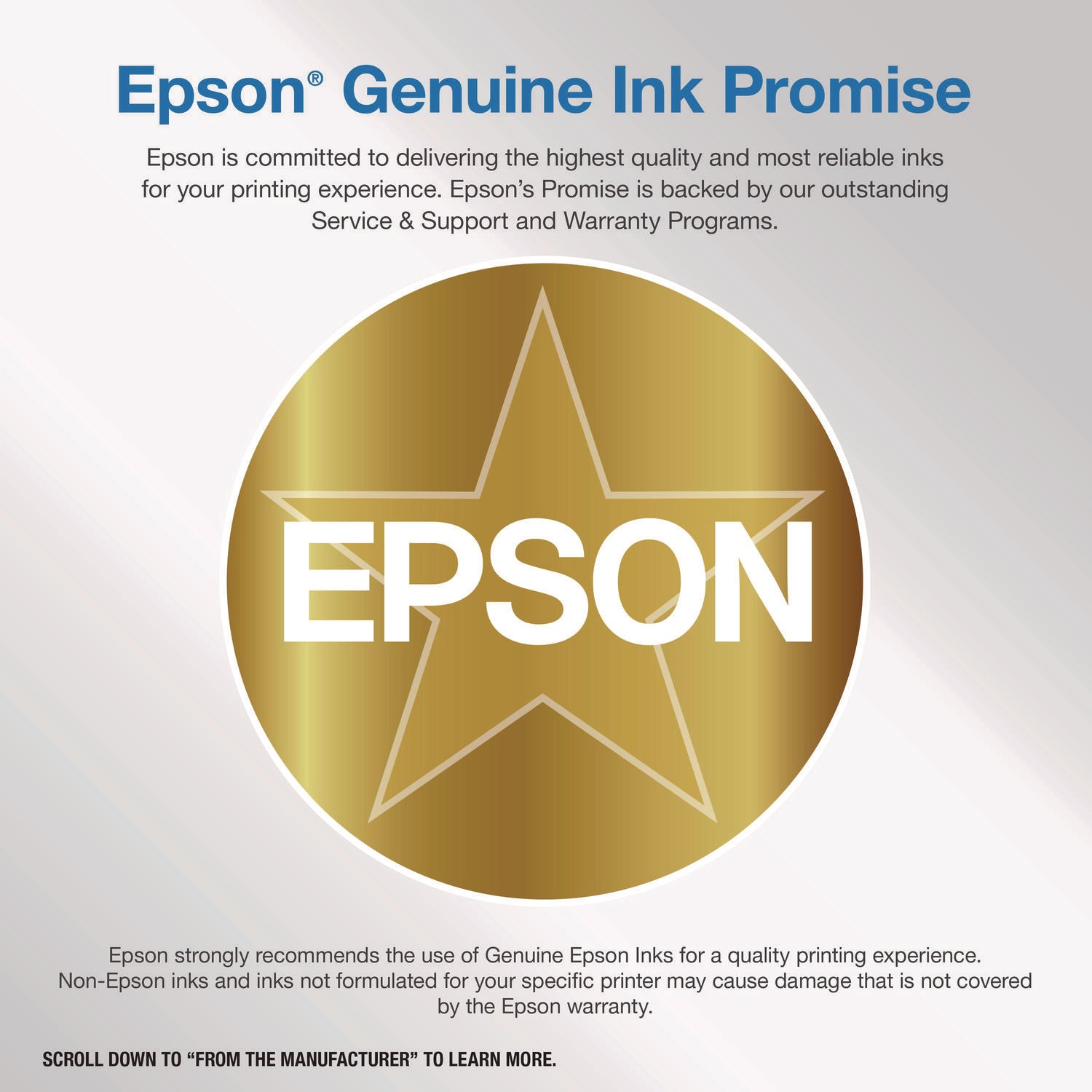 Epson® T606C00 Ink, Light Magenta